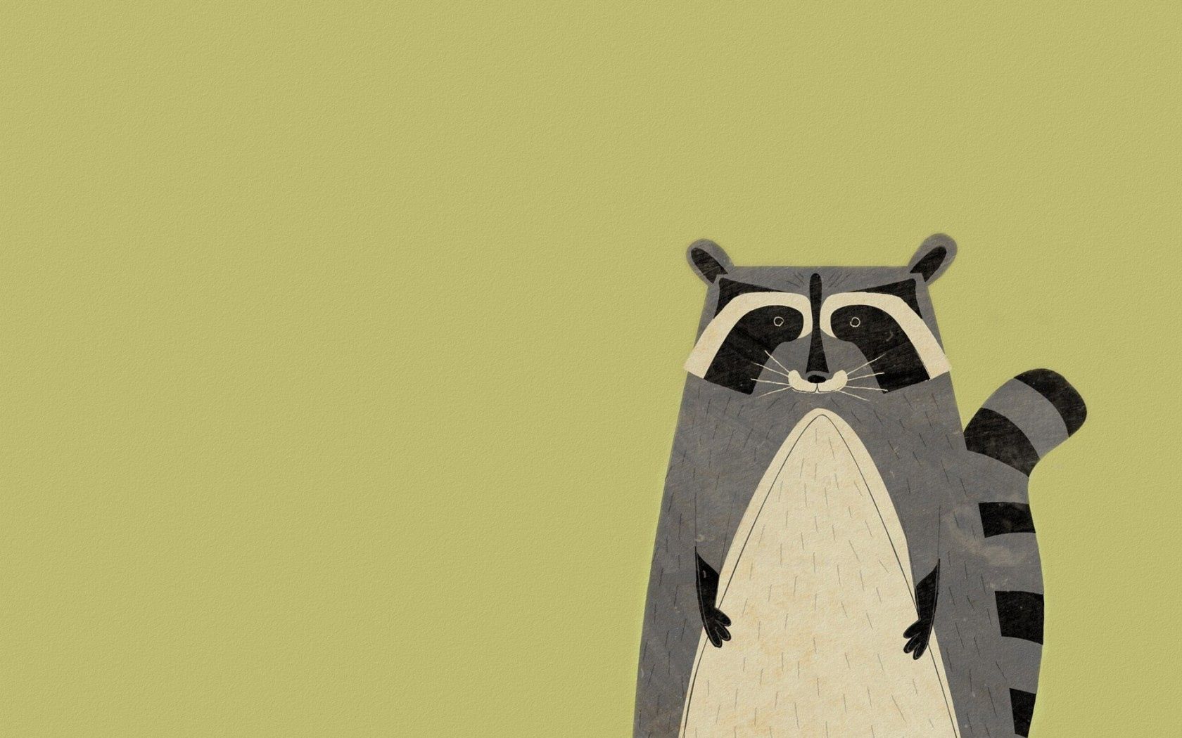 minimalism, vector, animal, raccoon Full HD