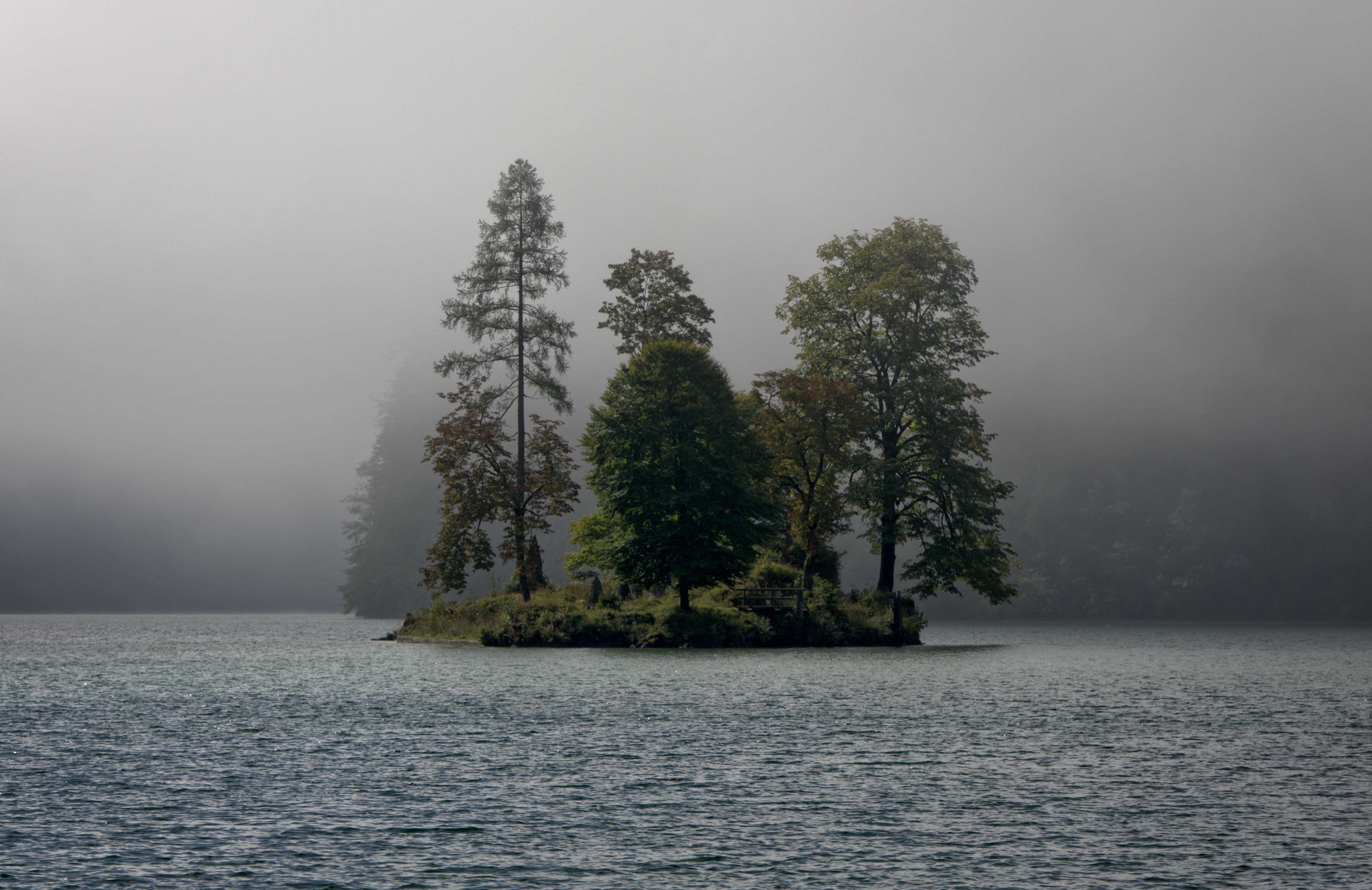 Laden Sie das Natur, Bäume, Nebel, Die Insel, Insel, Landschaft, Flüsse-Bild kostenlos auf Ihren PC-Desktop herunter