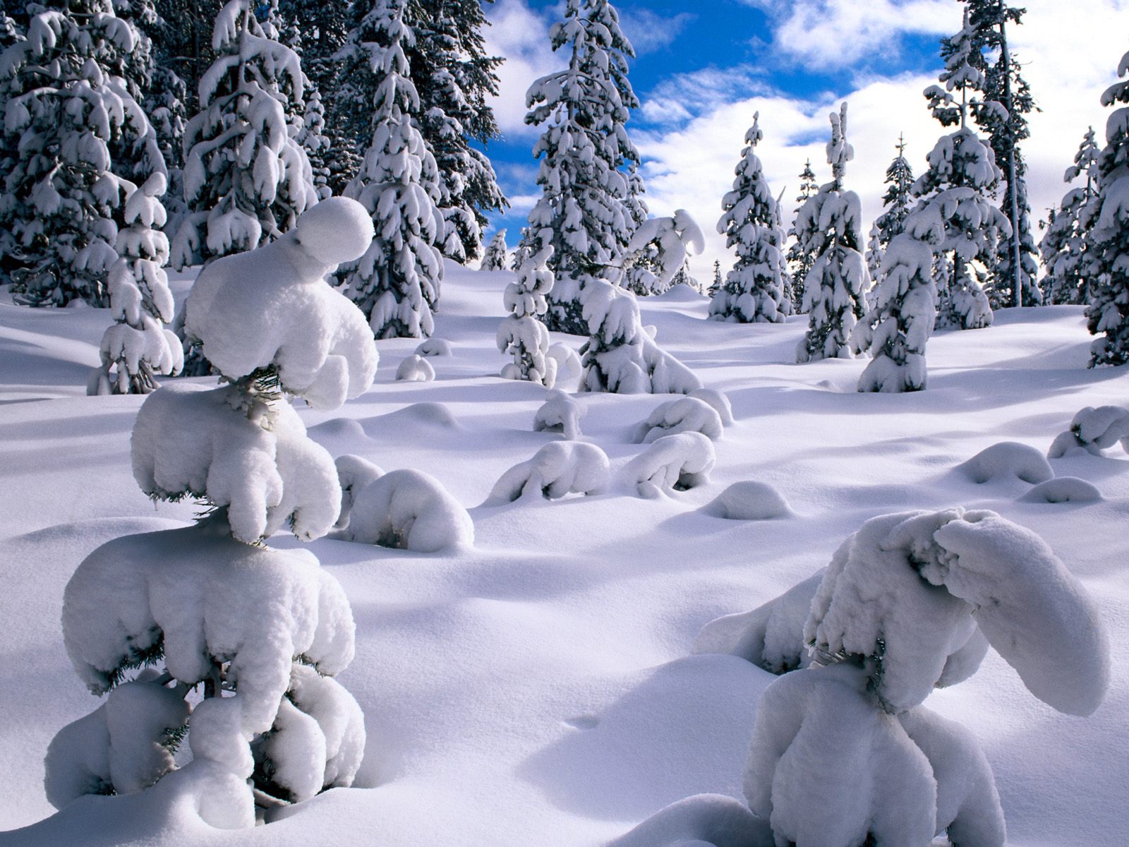 Cool Backgrounds  Winter