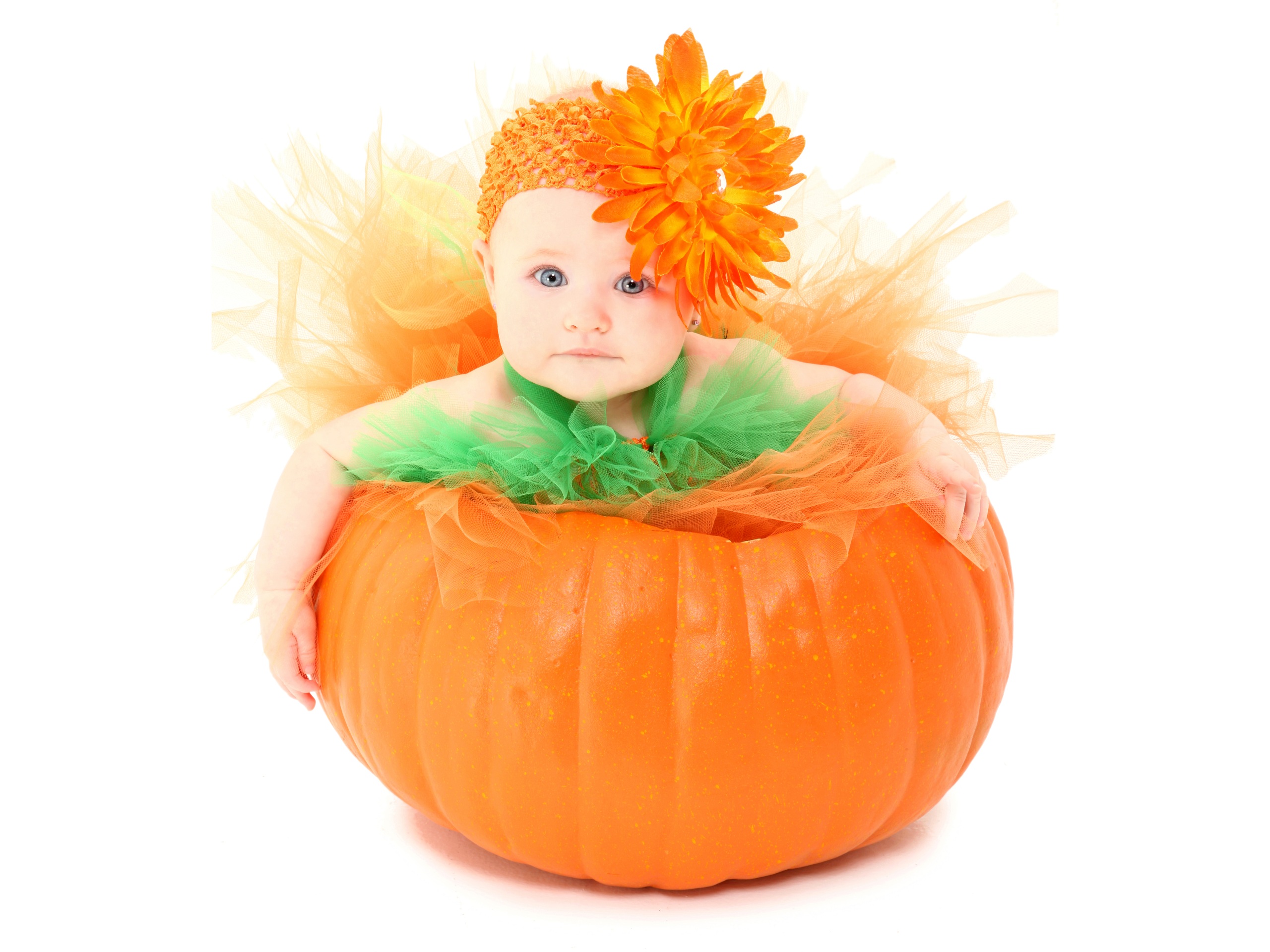 photography, baby, cute, orange flower, pumpkin for android