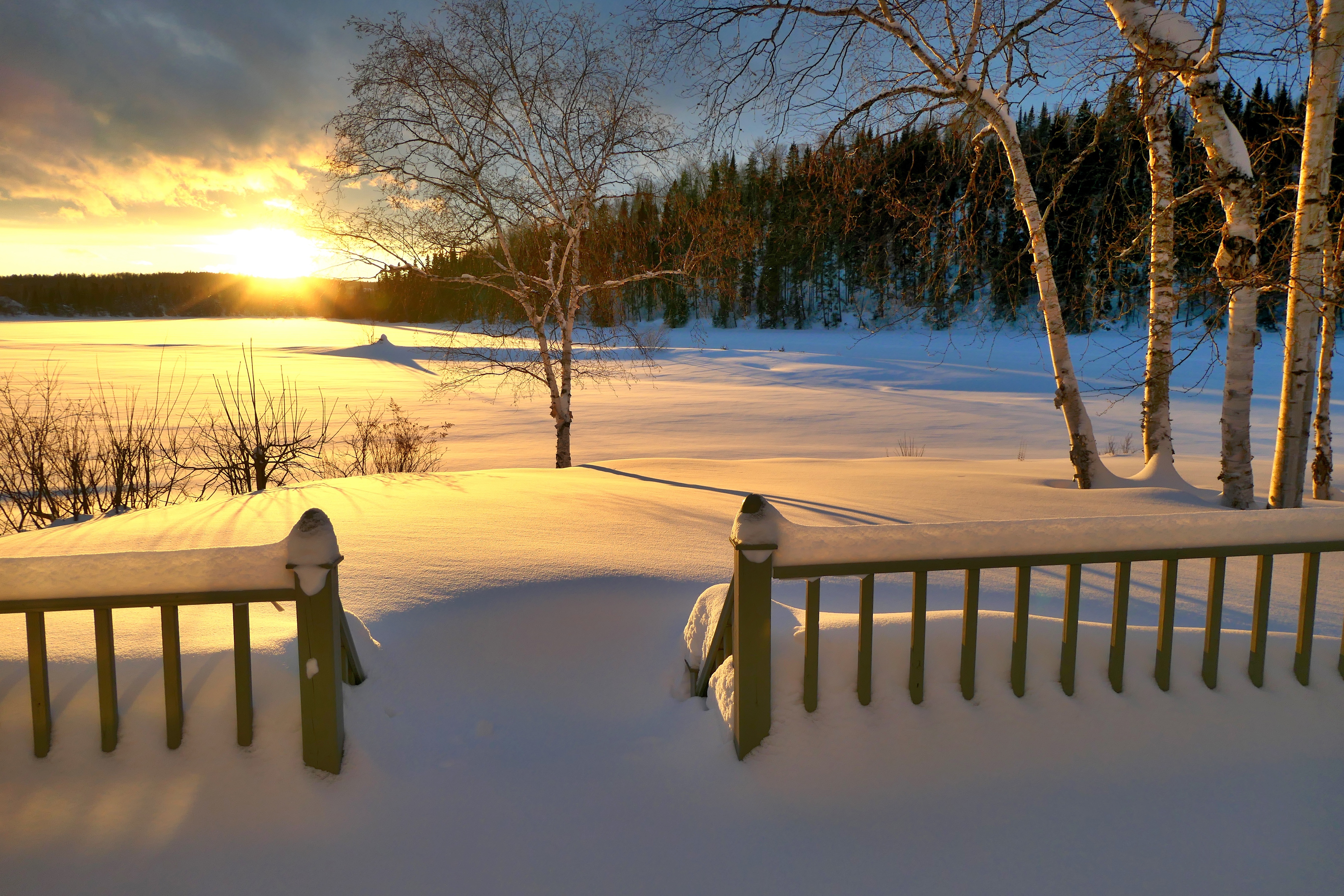 photography, winter, birch, fence, quebec, snow, sunset UHD