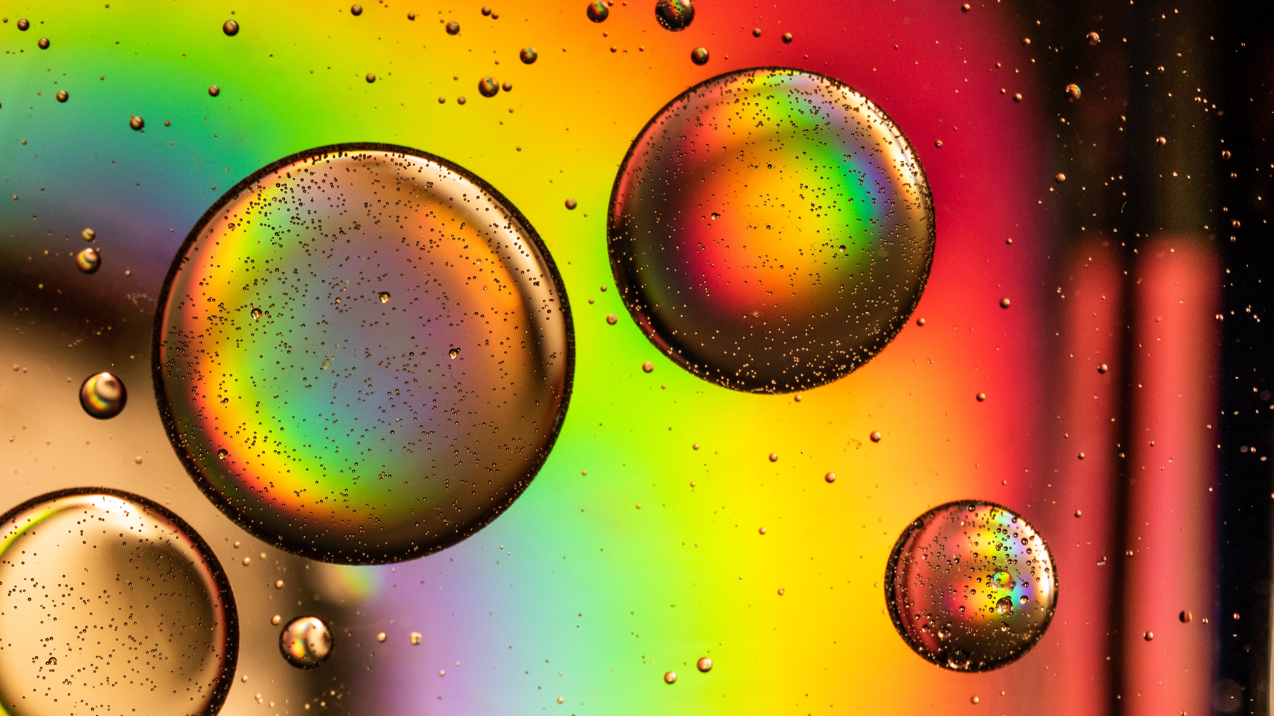 circles, rainbow, abstract, multicolored, motley, bubble