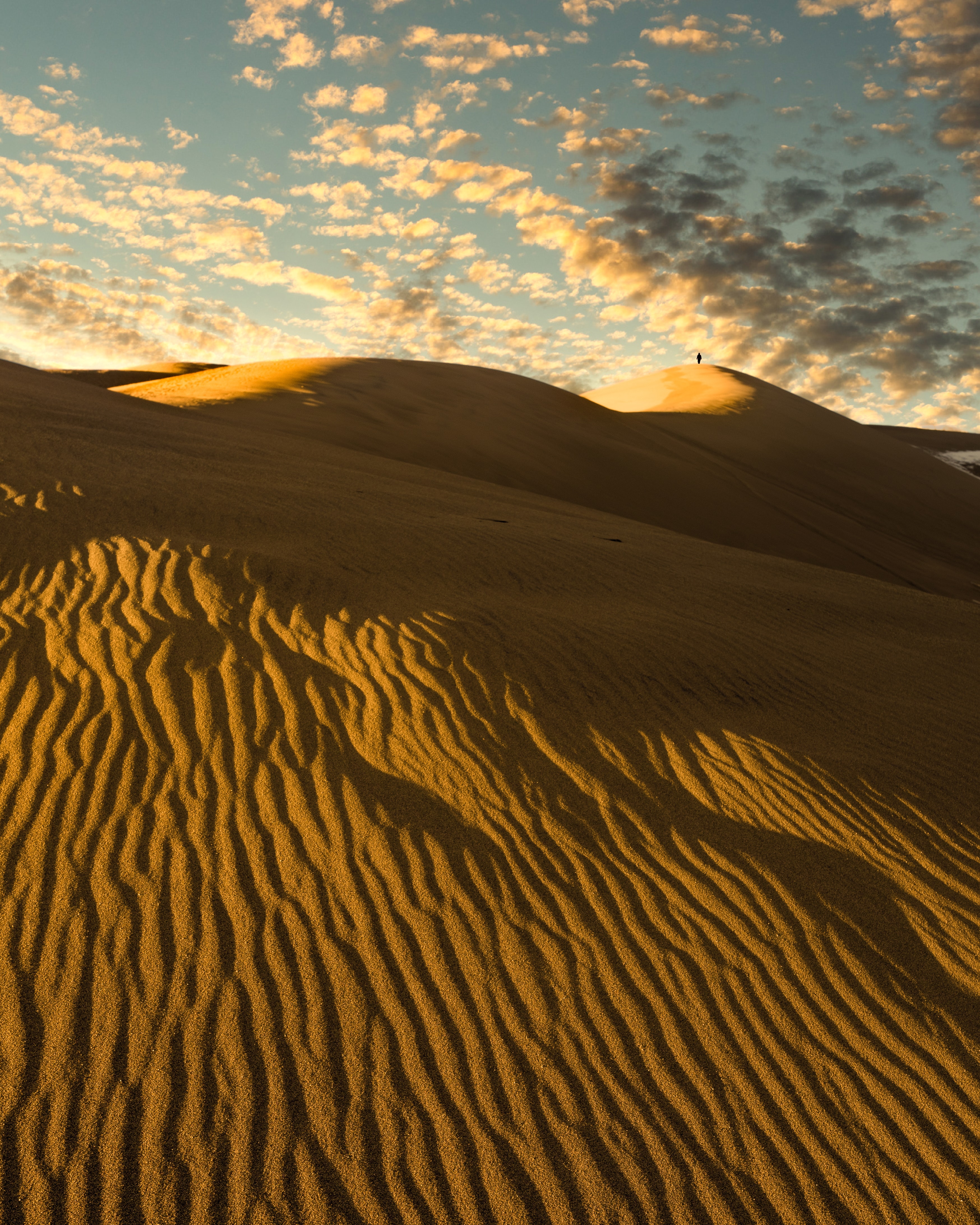 links, desert, sand, silhouette, miscellanea, miscellaneous, loneliness, dunes HD wallpaper