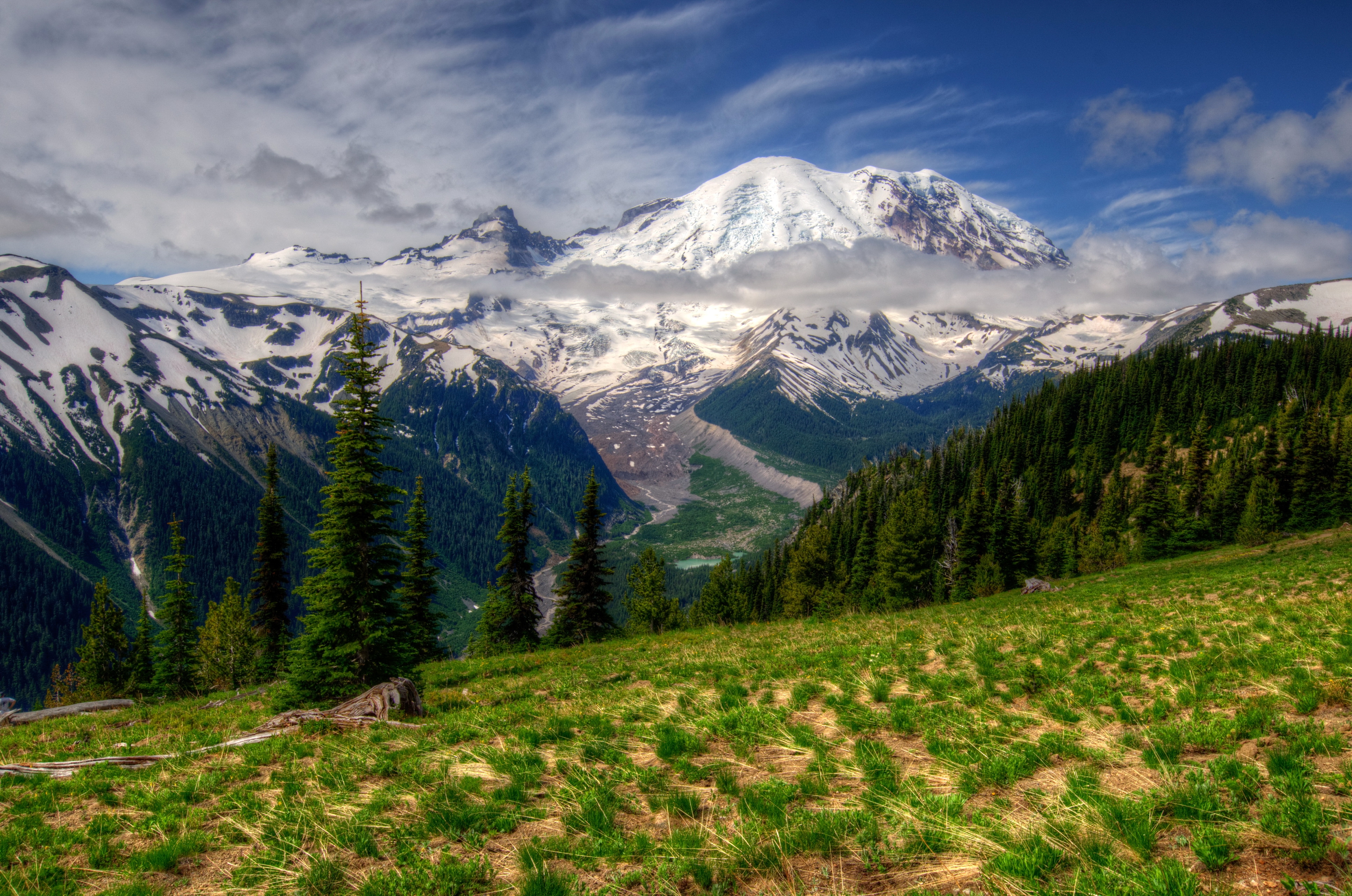 Download mobile wallpaper Mt Rainier, Washington, Nature, Landscape, Grass, Hdr, Mountains for free.