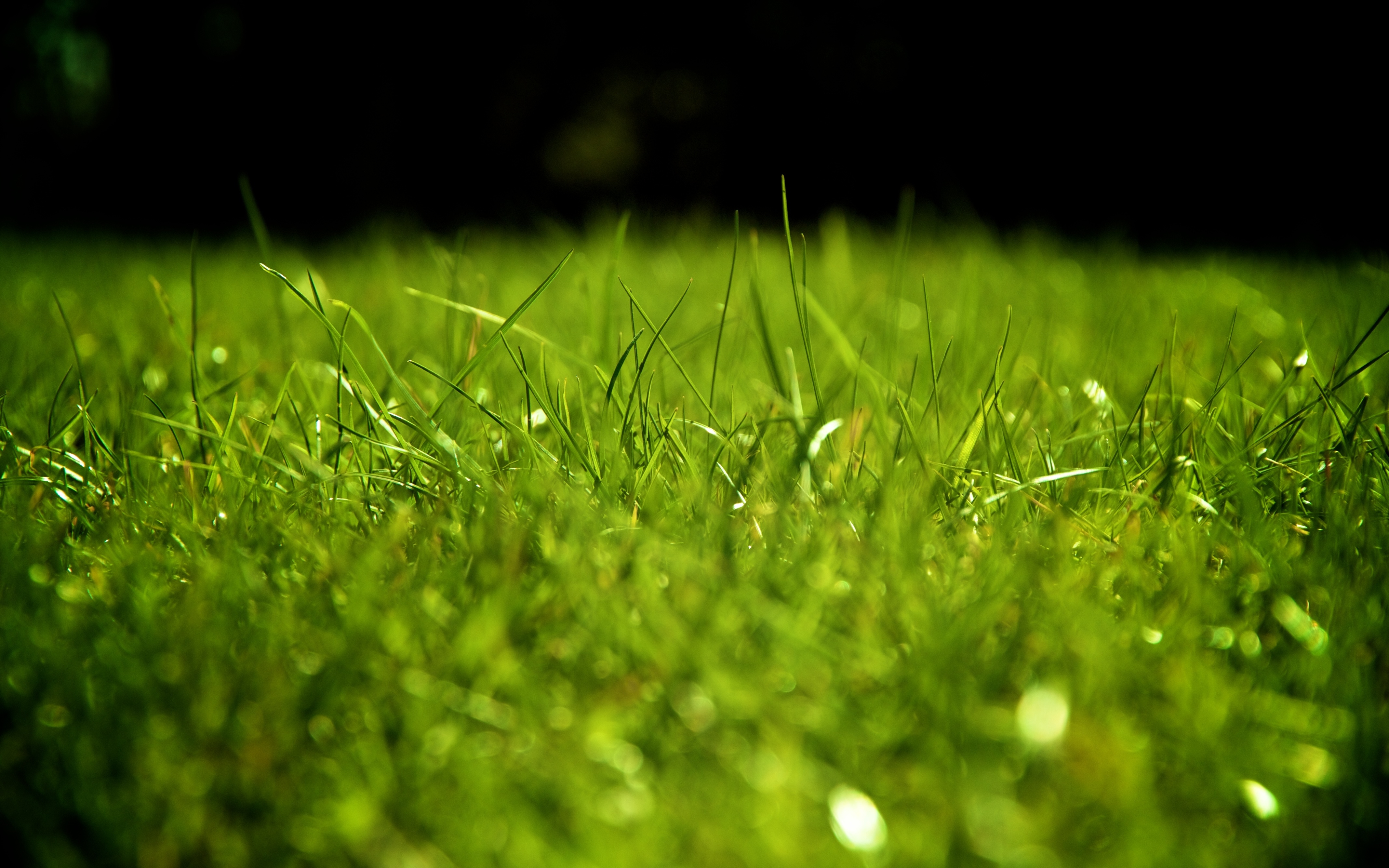 Download mobile wallpaper Grass, Dew, Macro, Drops, Surface for free.