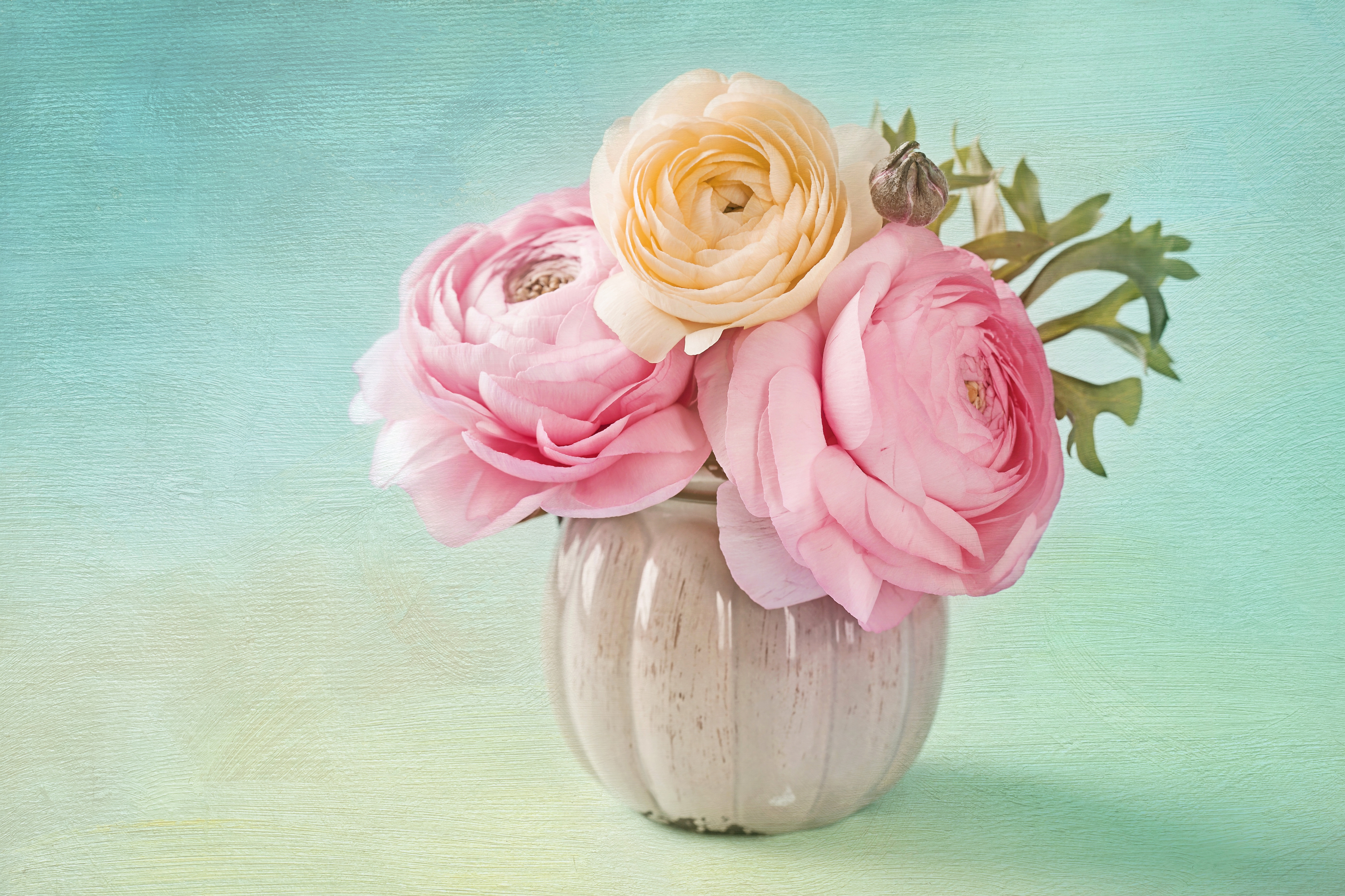 Vintage  Cabbage Roses and More  The Graphics Fairy Old Rose HD wallpaper   Pxfuel