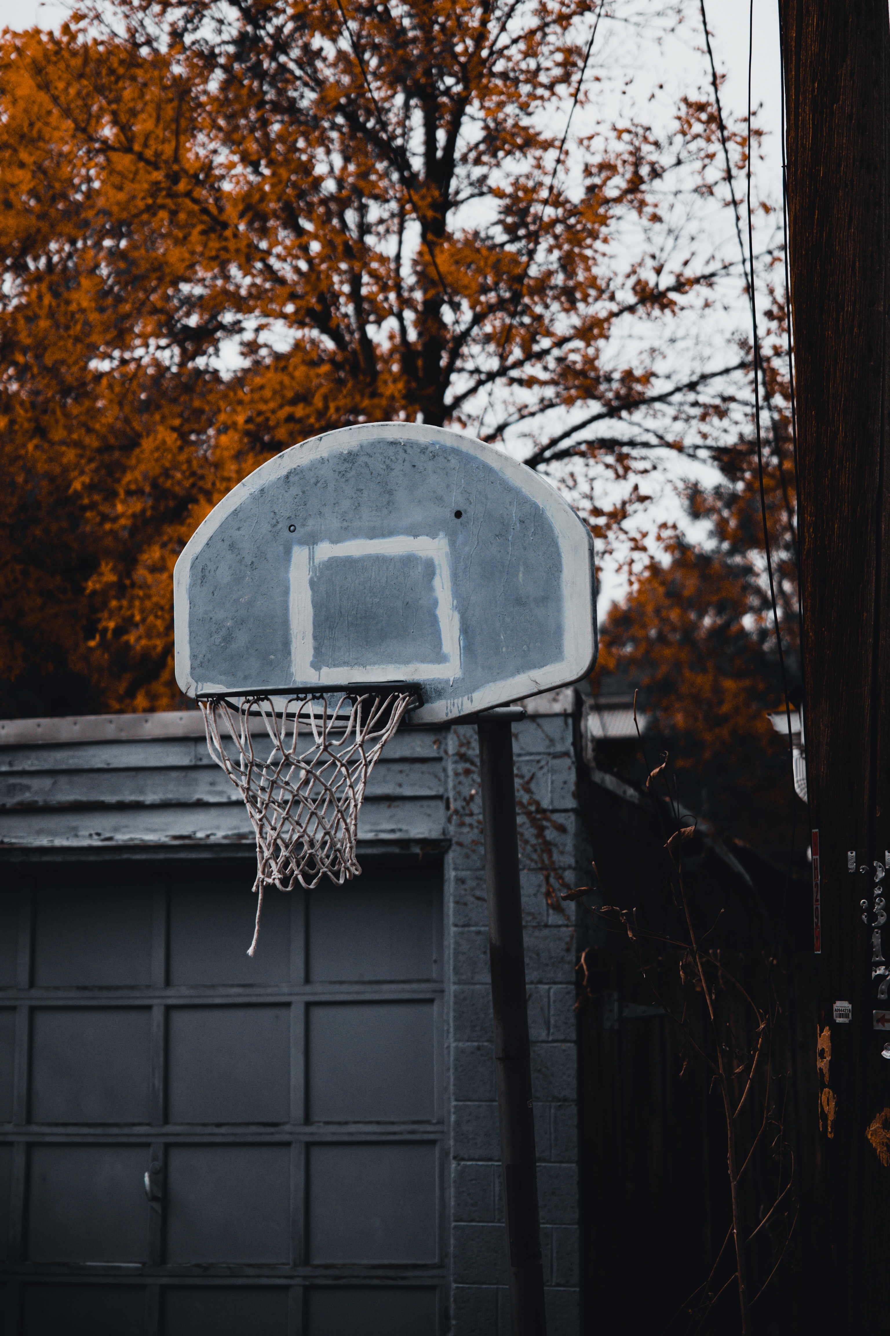 Basketball Ring Vertical Background