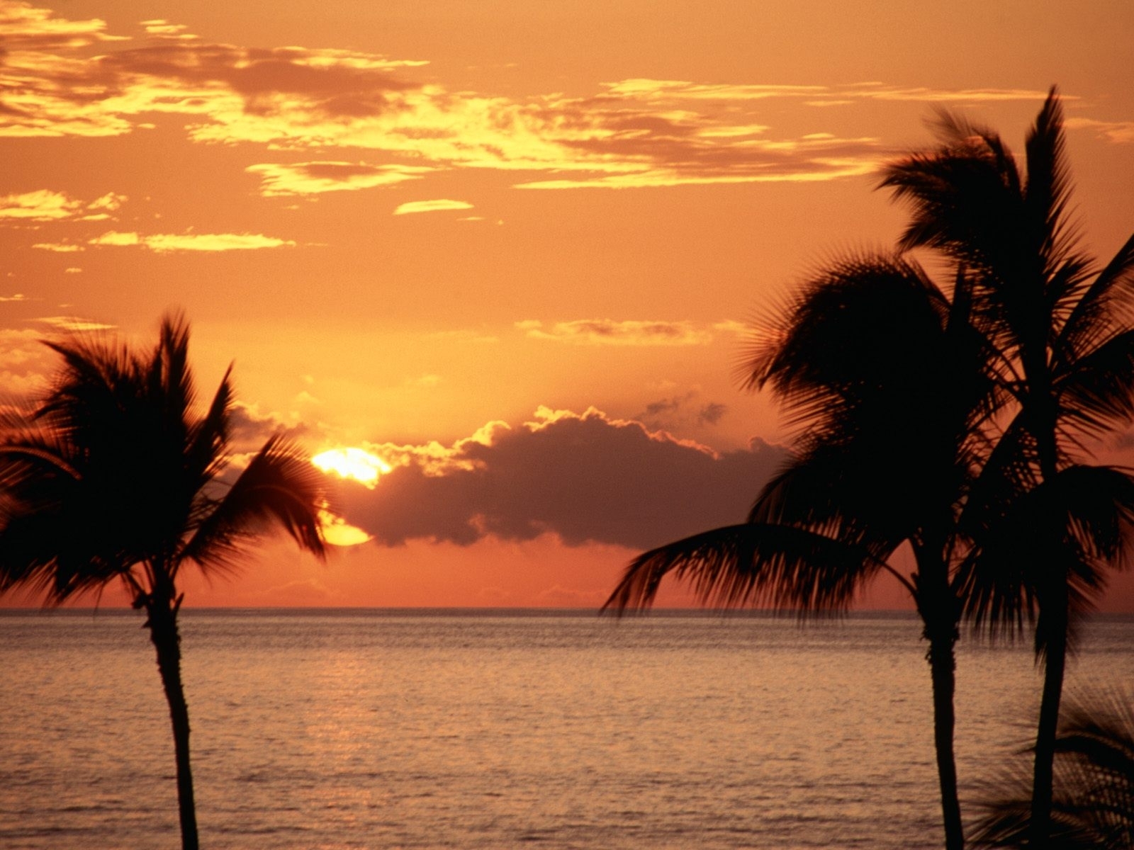 Download mobile wallpaper Landscape, Sea, Sunset, Sky, Sun, Palms for free.