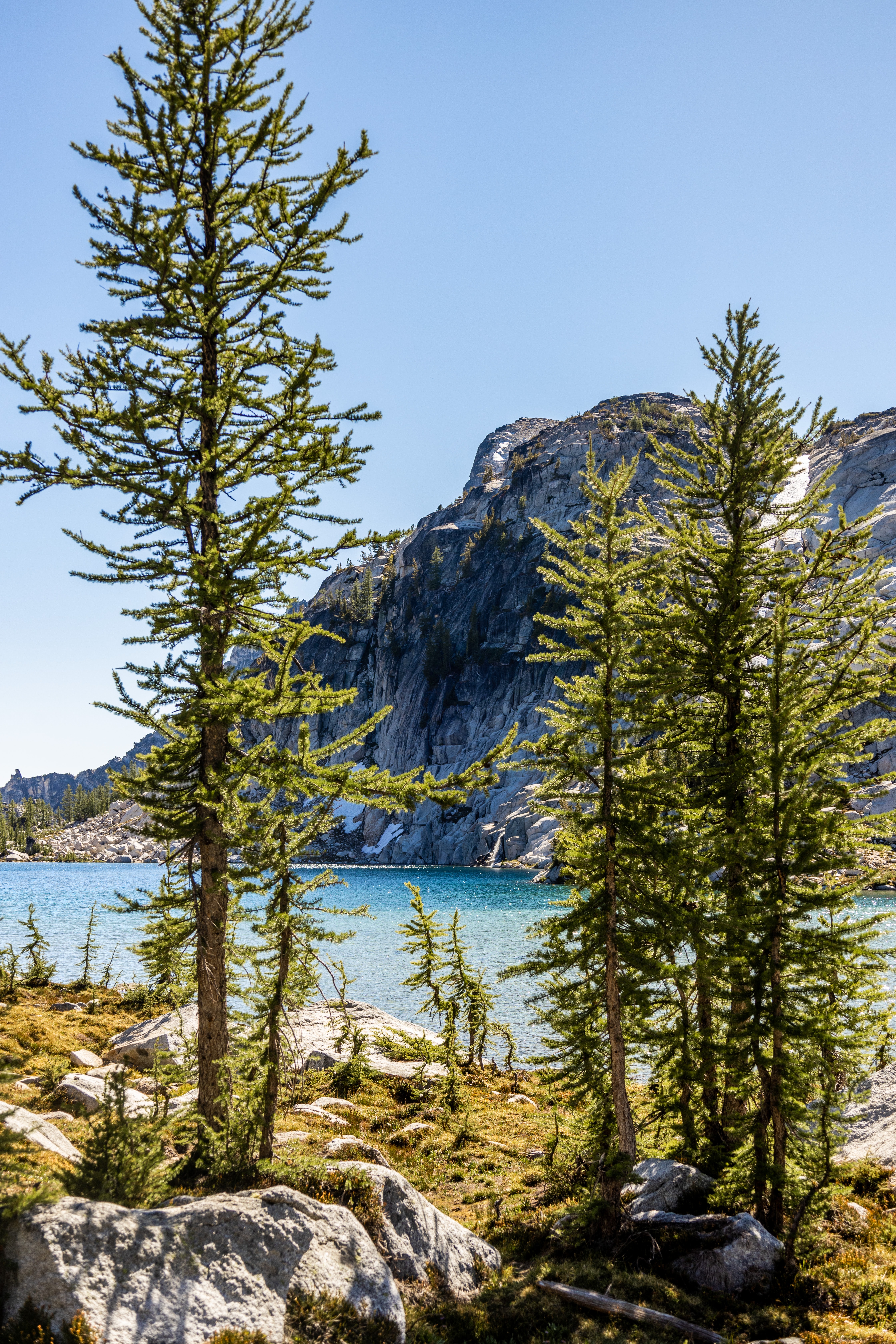 無料モバイル壁紙木, 松, 湖, 山, 自然をダウンロードします。