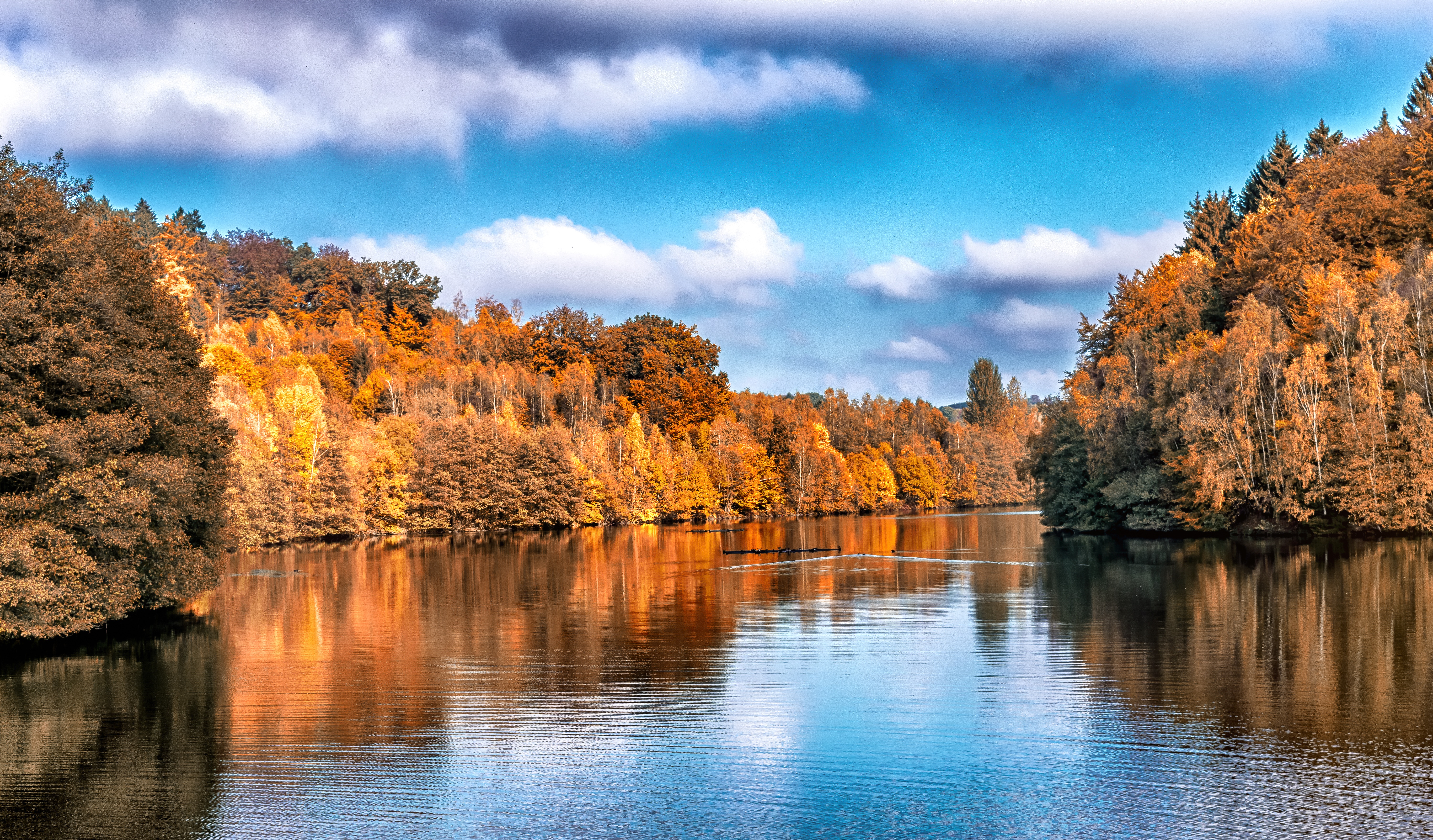 nature, trees, autumn, lake, reflection, reflections