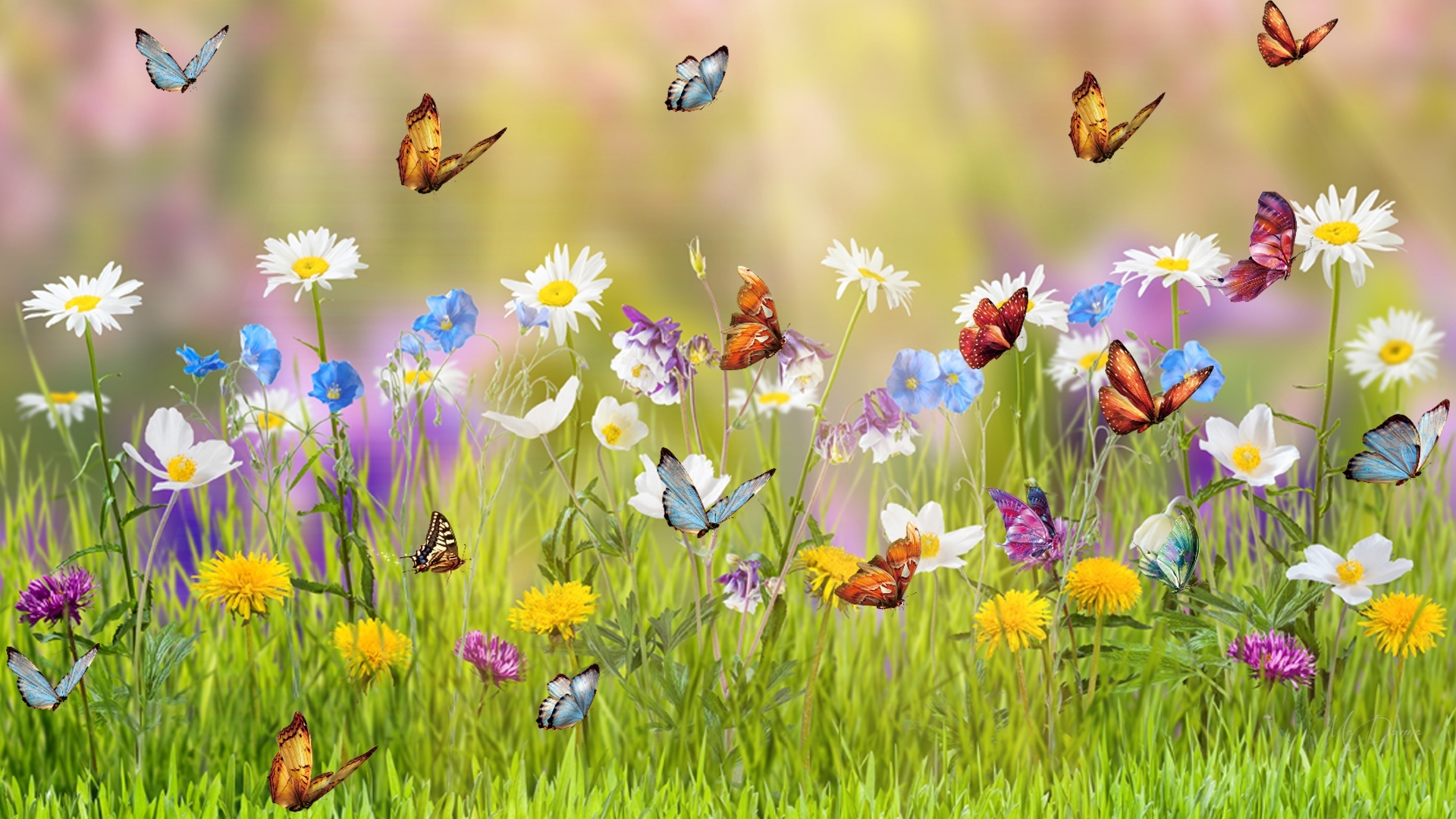 798515 télécharger le fond d'écran printemps, artistique, papillon, coloré, couleurs, fleur, herbe, prairie - économiseurs d'écran et images gratuitement