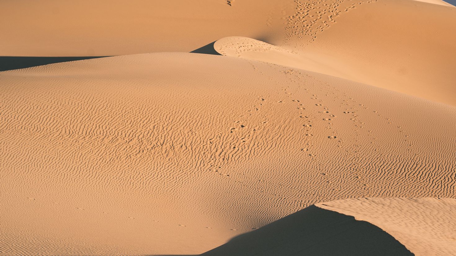 Дюна пустыня