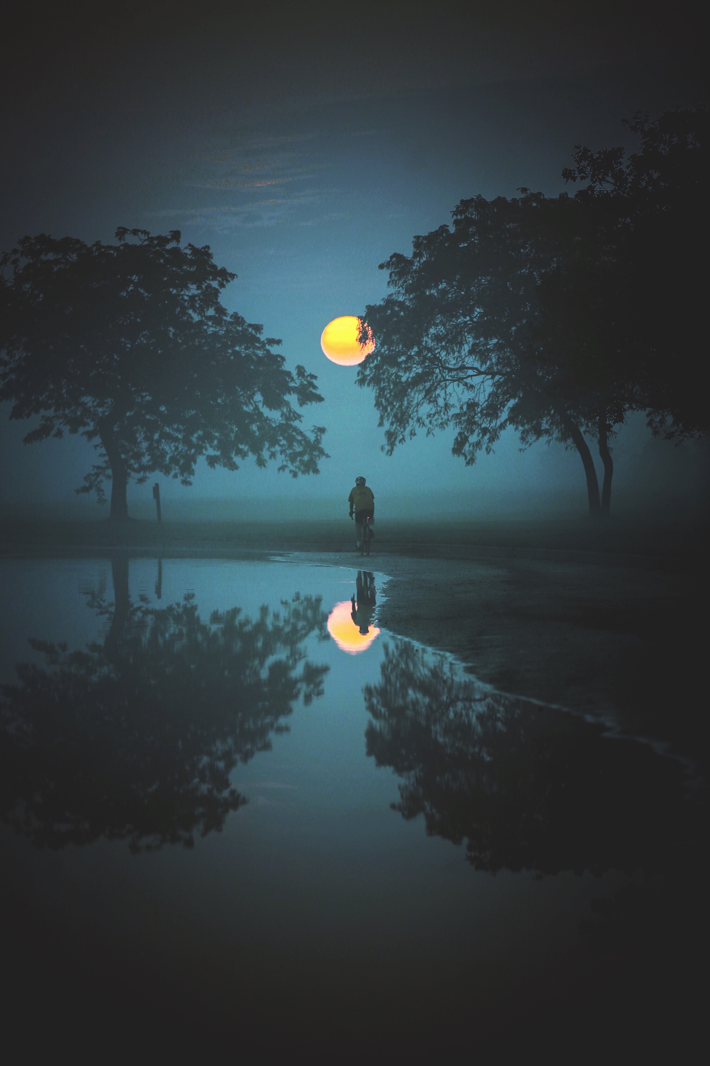 reflection, cyclist, moon, nature, water, trees, fog