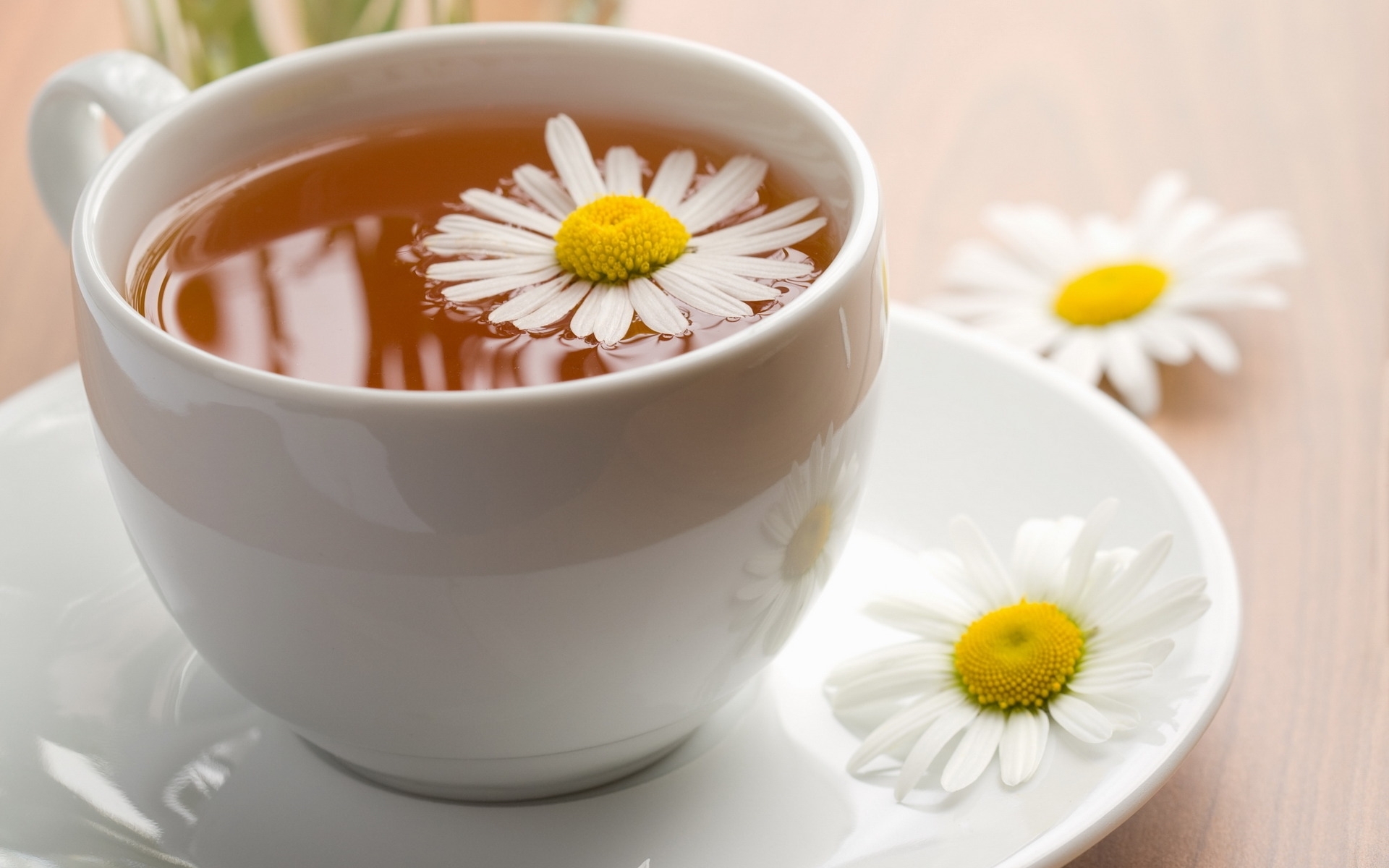 Download mobile wallpaper Food, Camomile, Flowers, Drinks for free.