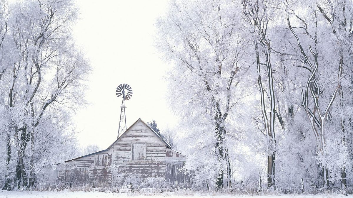 HD desktop wallpaper: Winter, Snow, Tree, Earth, Farm download free ...
