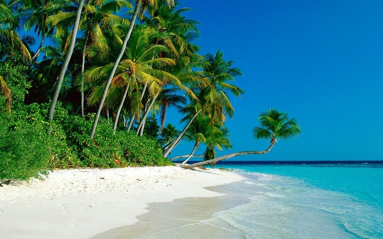 Скачать картинку Пейзаж, Море, Пляж, Пальмы в телефон бесплатно.