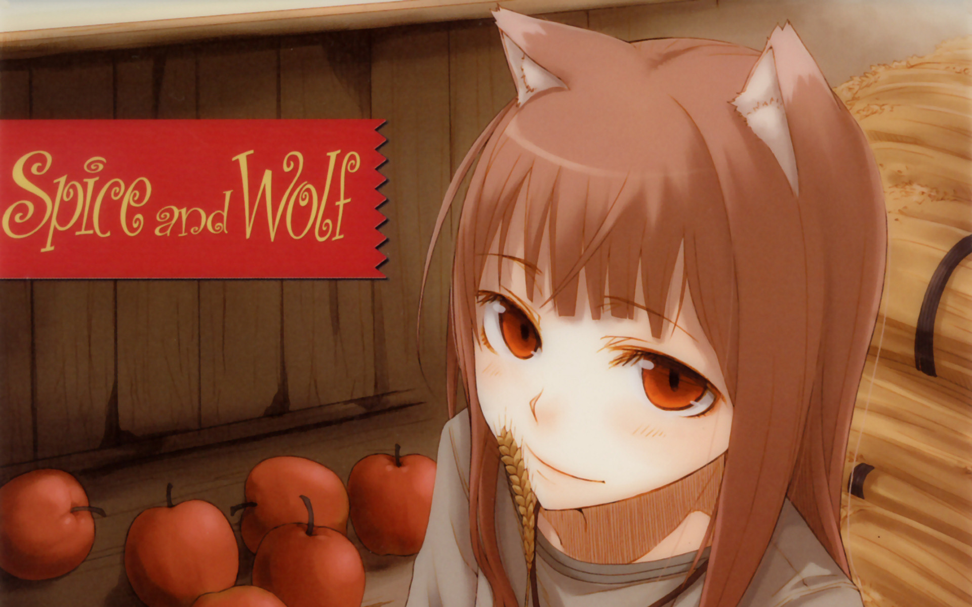 anime, spice and wolf, holo (spice & wolf) HD wallpaper