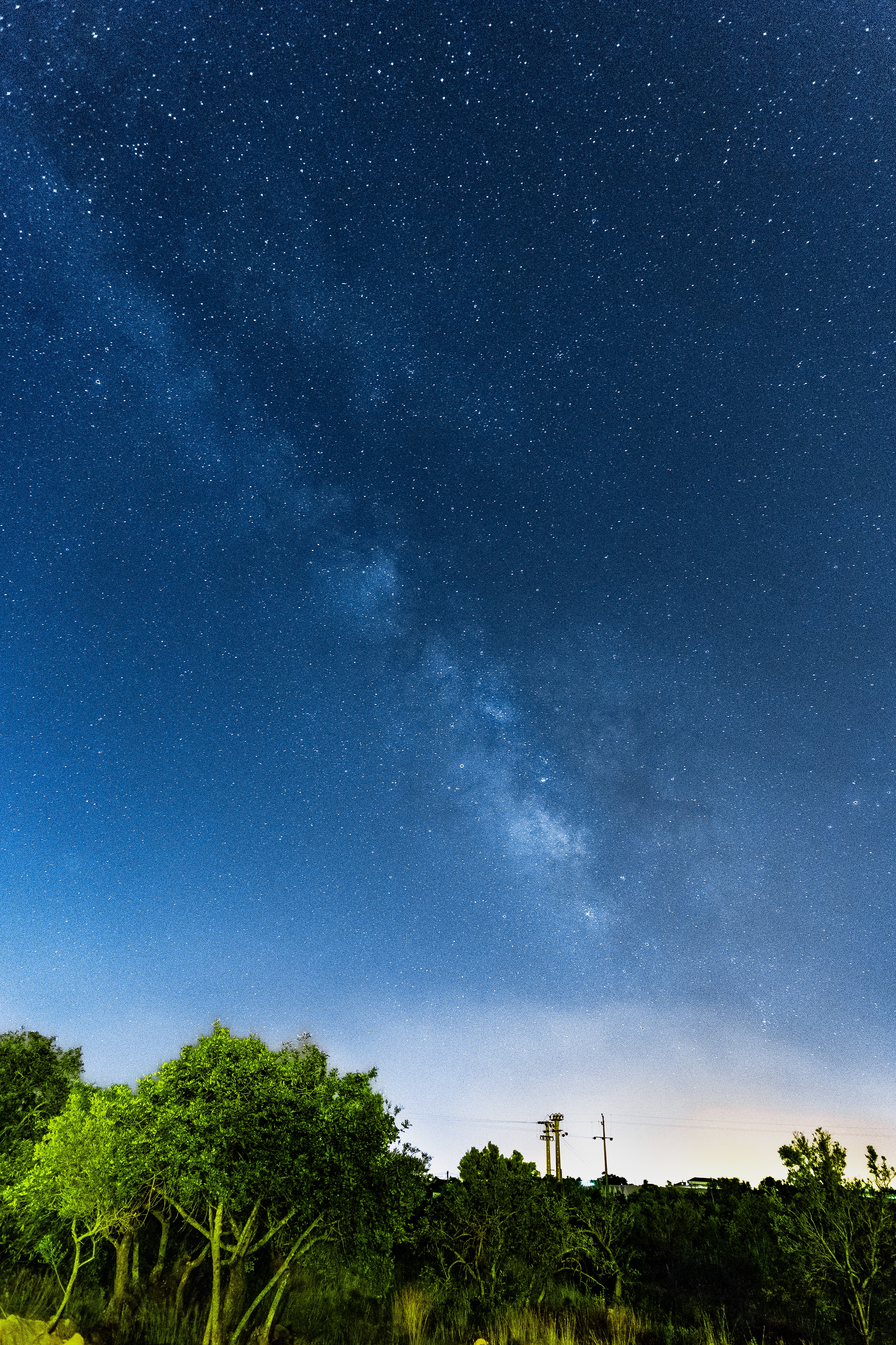 Download mobile wallpaper Milky Way, Trees, Nature, Stars, Night, Starry Sky for free.