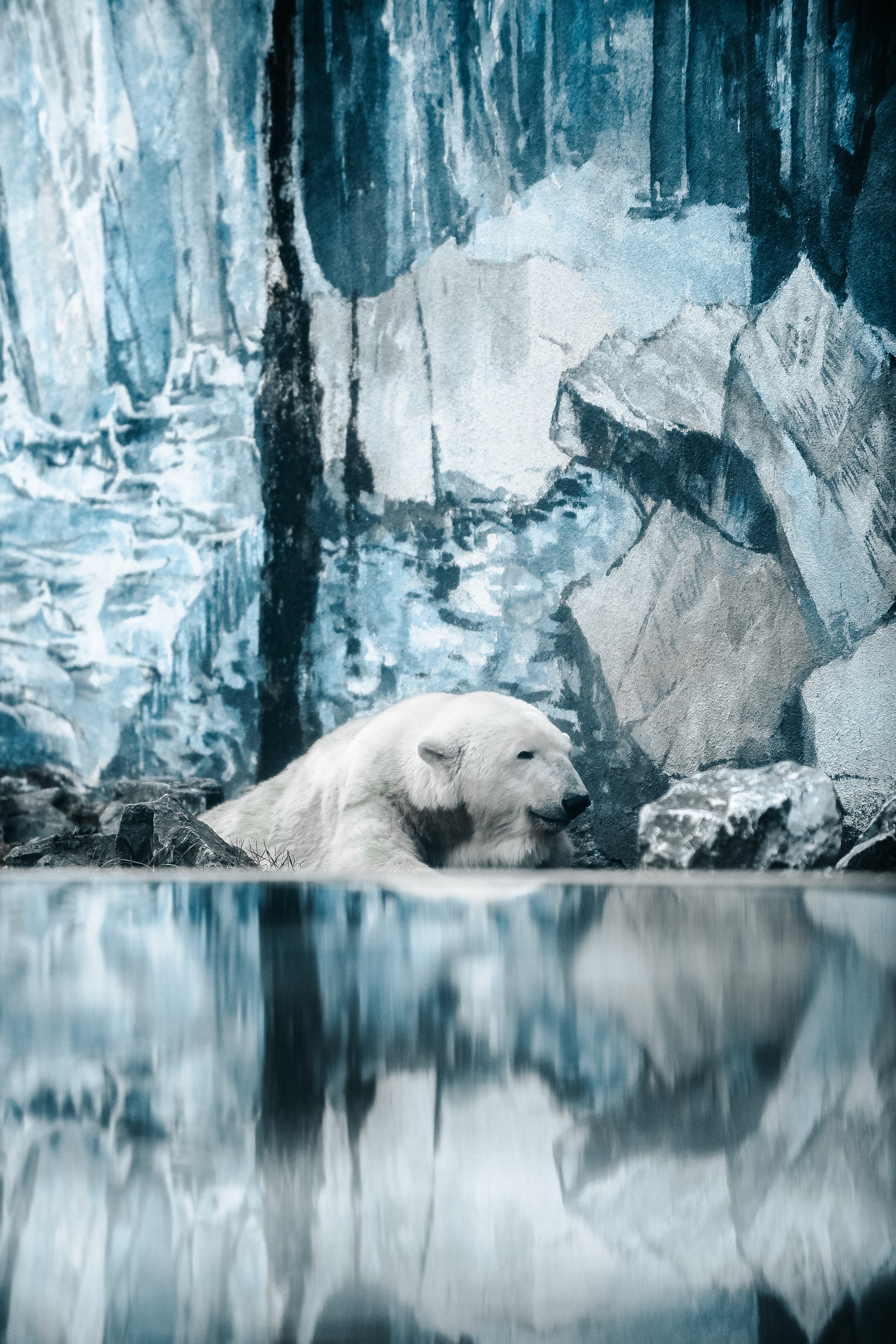 Download mobile wallpaper Polar Bear, Animals, Water, Bear for free.