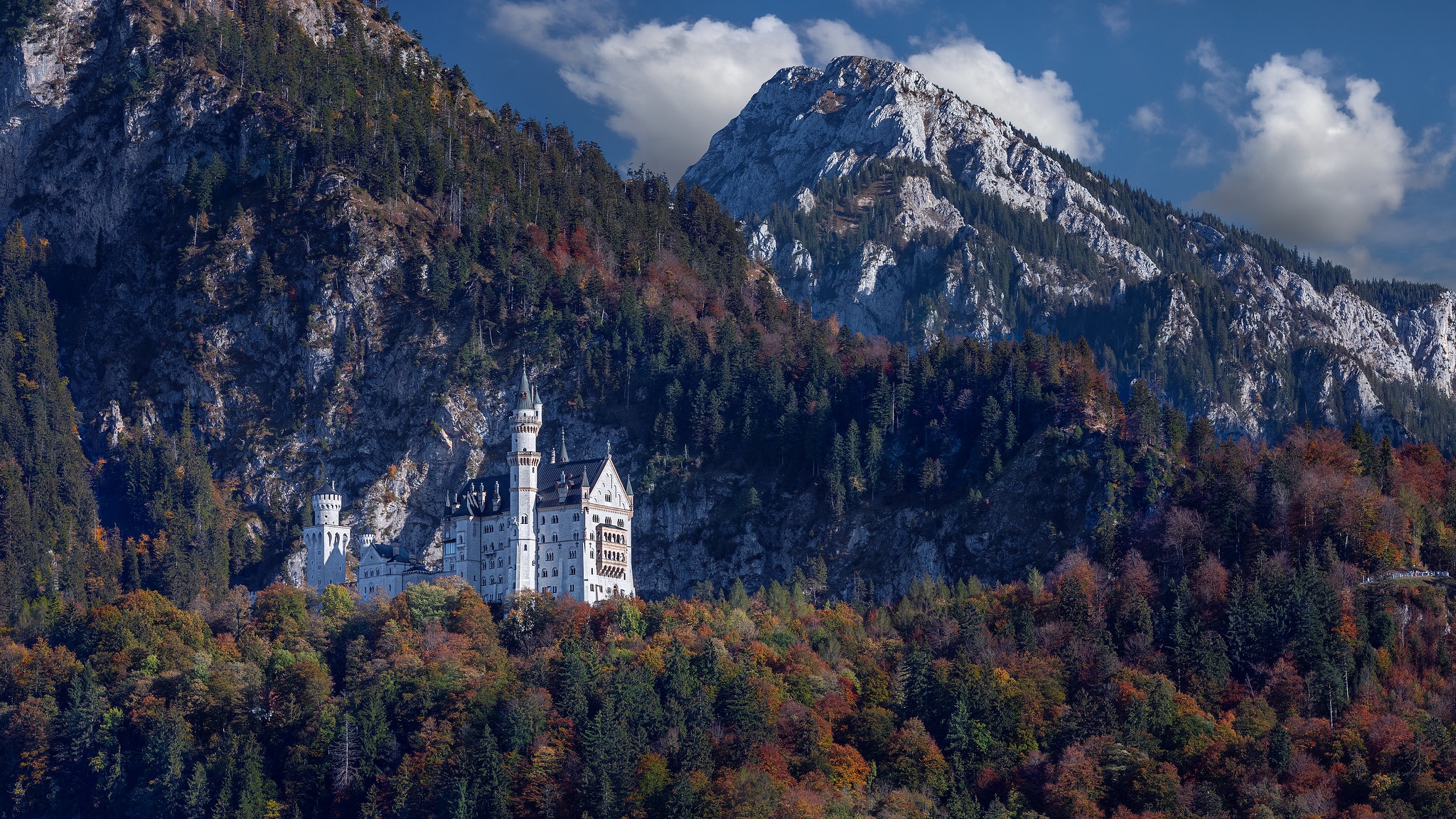 486428 descargar fondo de pantalla hecho por el hombre, castillo de neuschwanstein, baviera, castillo, otoño, bosque, alemania, montaña, castillos: protectores de pantalla e imágenes gratis