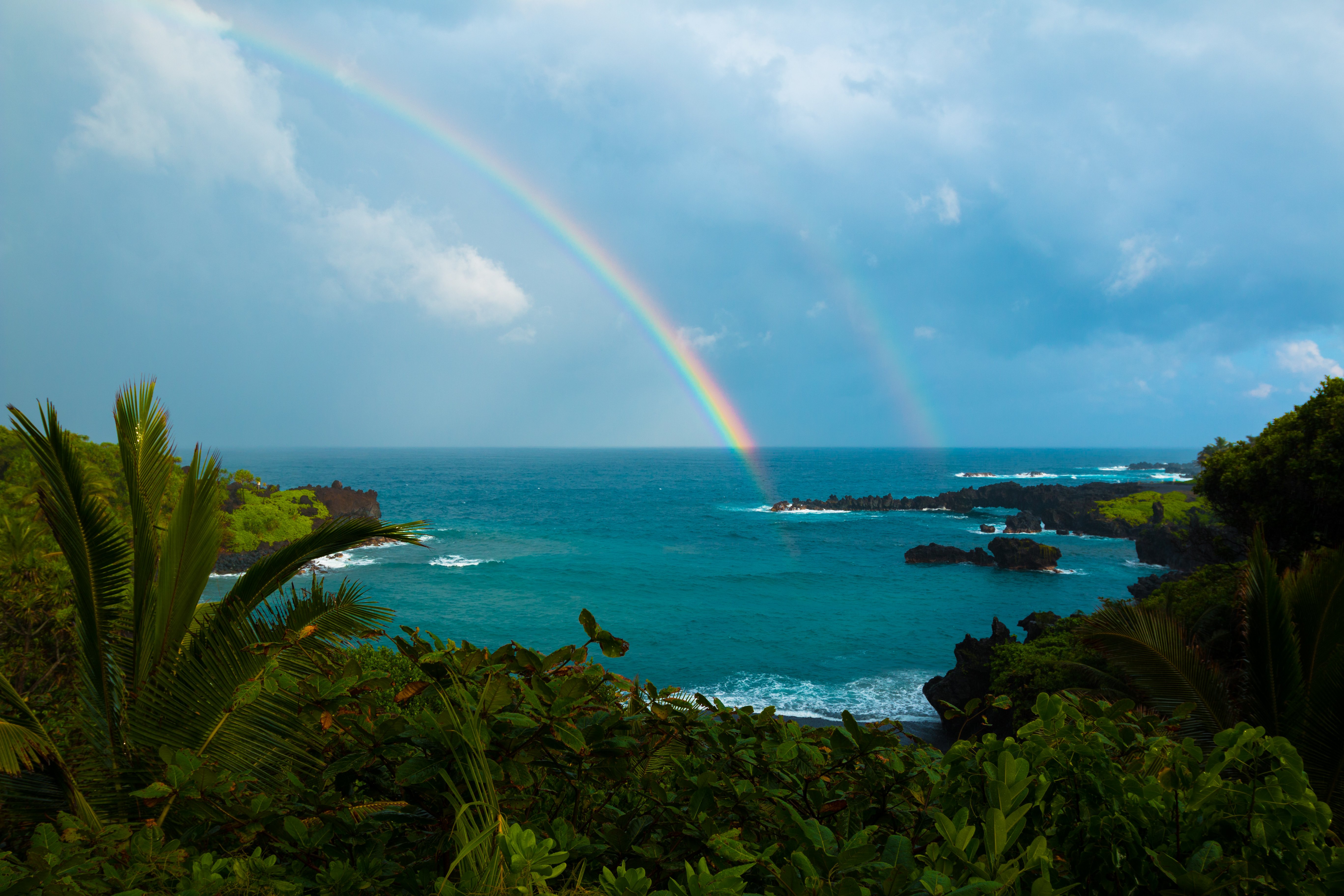 740205 下載圖片 自然, 彩虹, 夏威夷, 地平线, 海洋, 棕榈, 灌木, 热带 - 免費壁紙和屏保