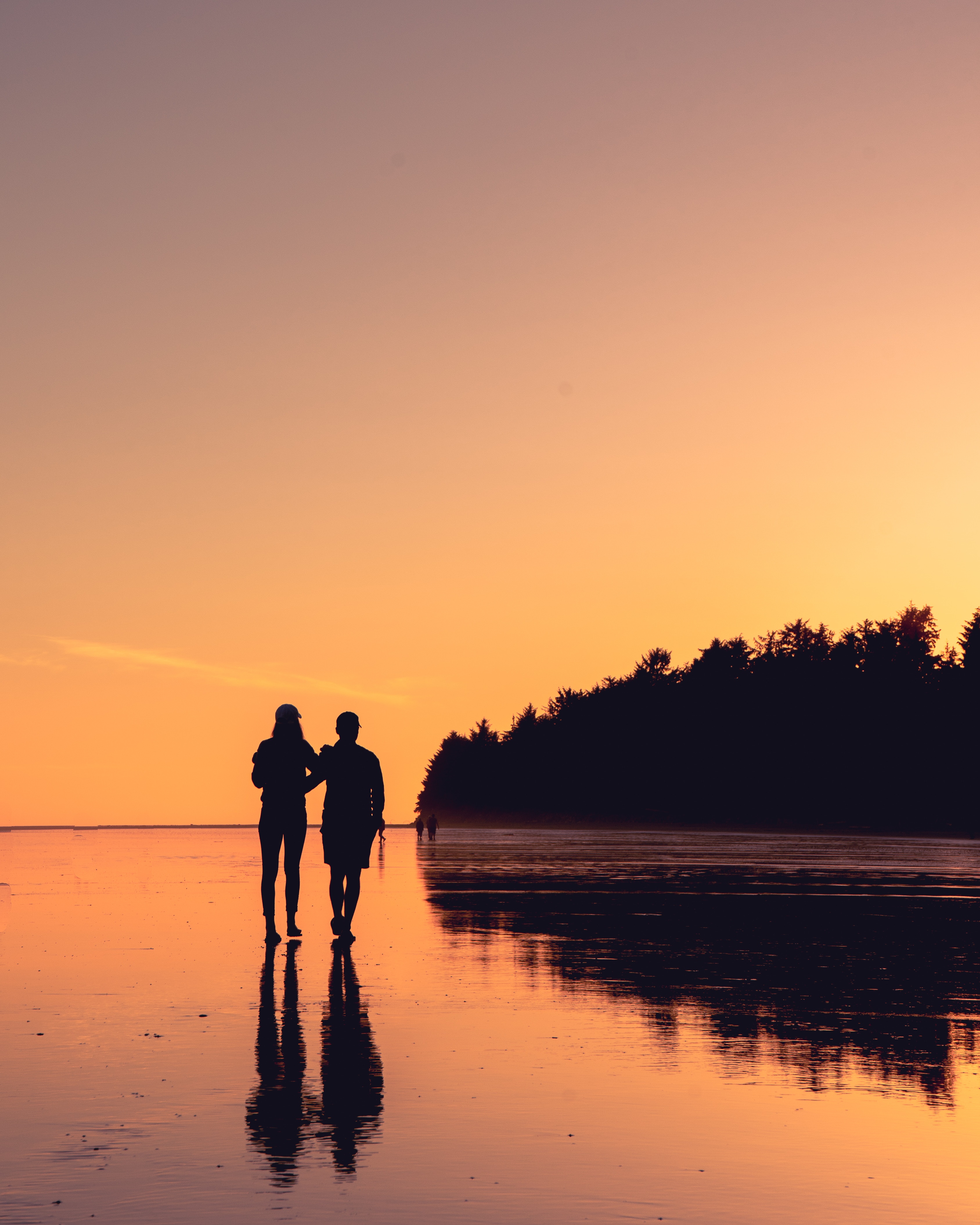 couple, pair, love, sunset, reflection, shore, bank, stroll