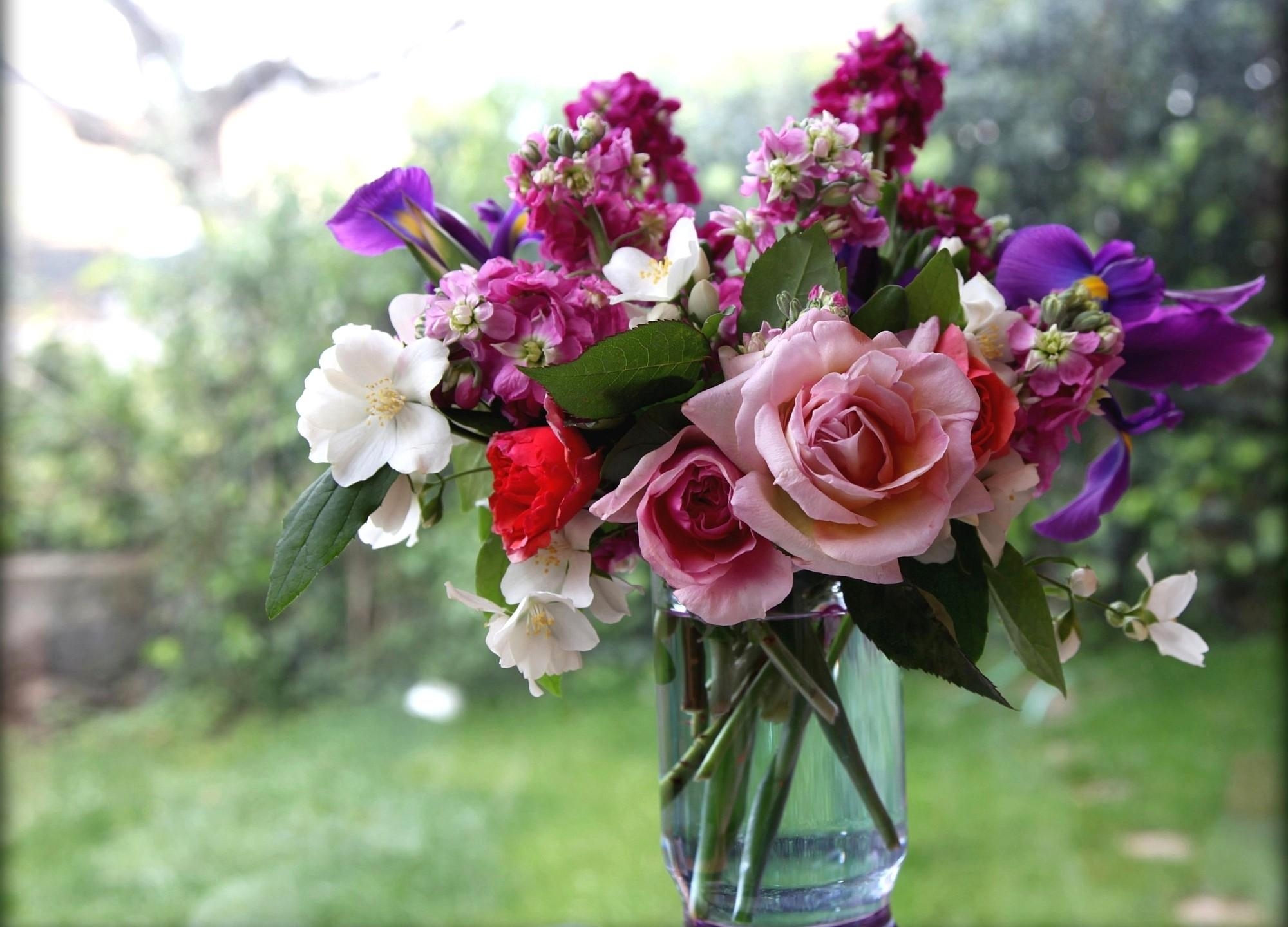 99660壁紙のダウンロード花瓶, ブーケ, フラワーズ, バラ, 花束, 窓, ジャスミン-スクリーンセーバーと写真を無料で