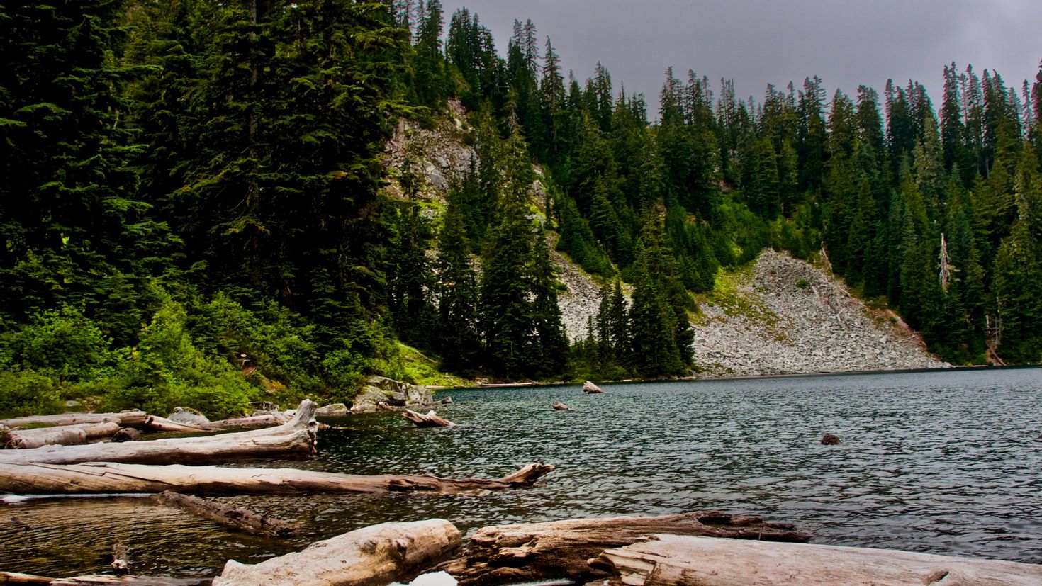 Ели камни. Экология вода и бревна.