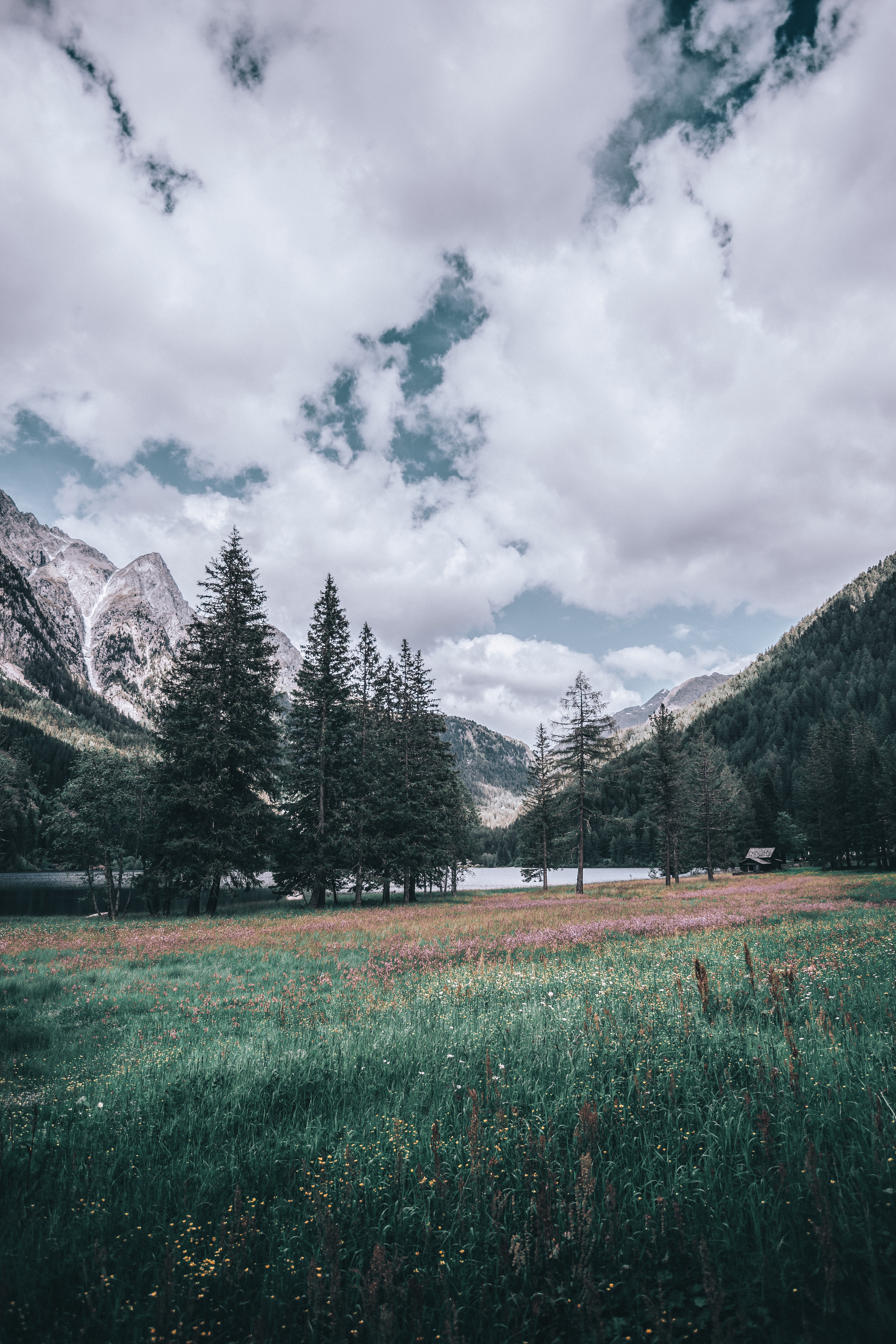 Téléchargez des papiers peints mobile Nature, Arbres, Montagnes, Italie, Paysage gratuitement.