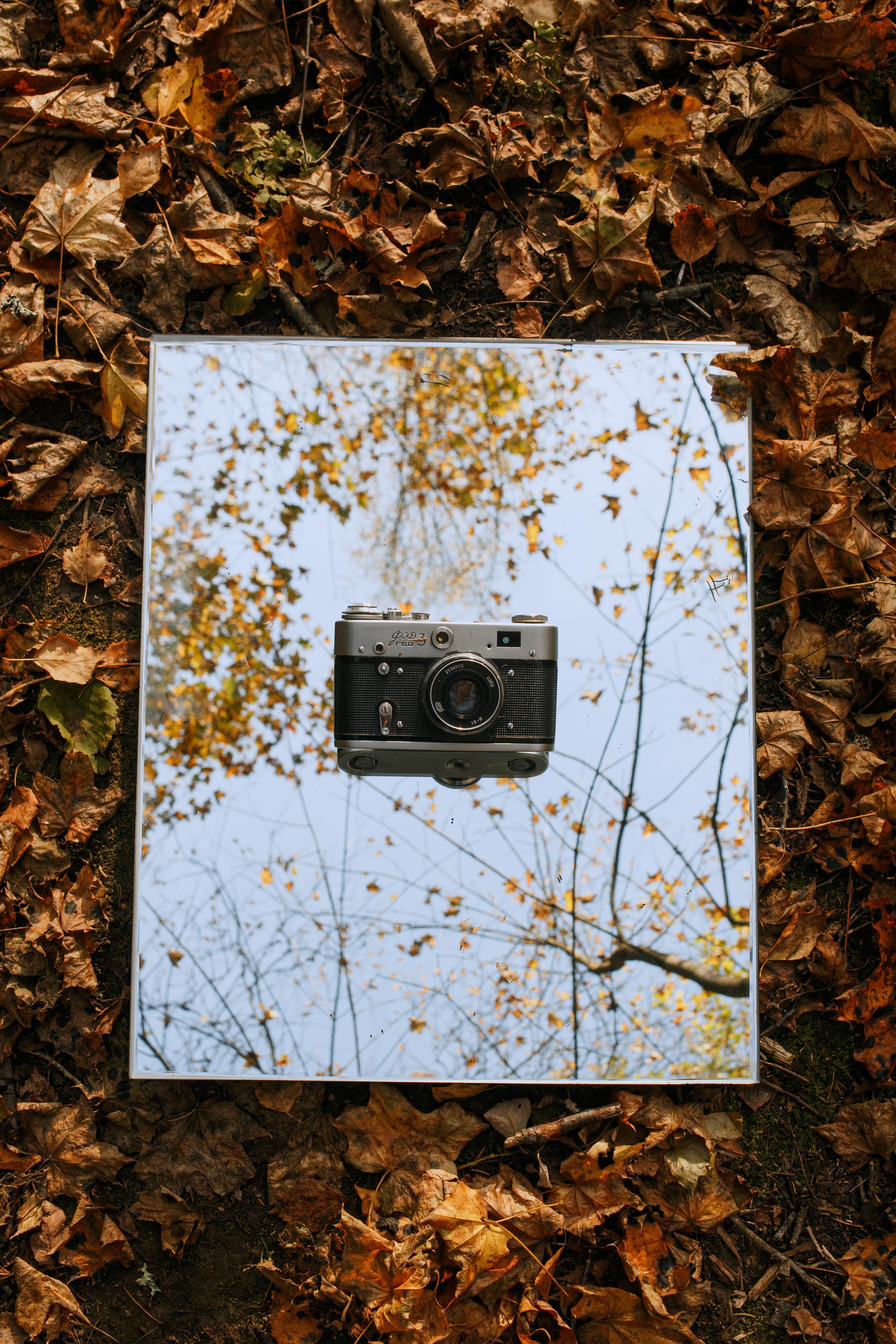 63977 télécharger l'image vintage, automne, feuilles, divers, millésime, rétro, caméra - fonds d'écran et économiseurs d'écran gratuits