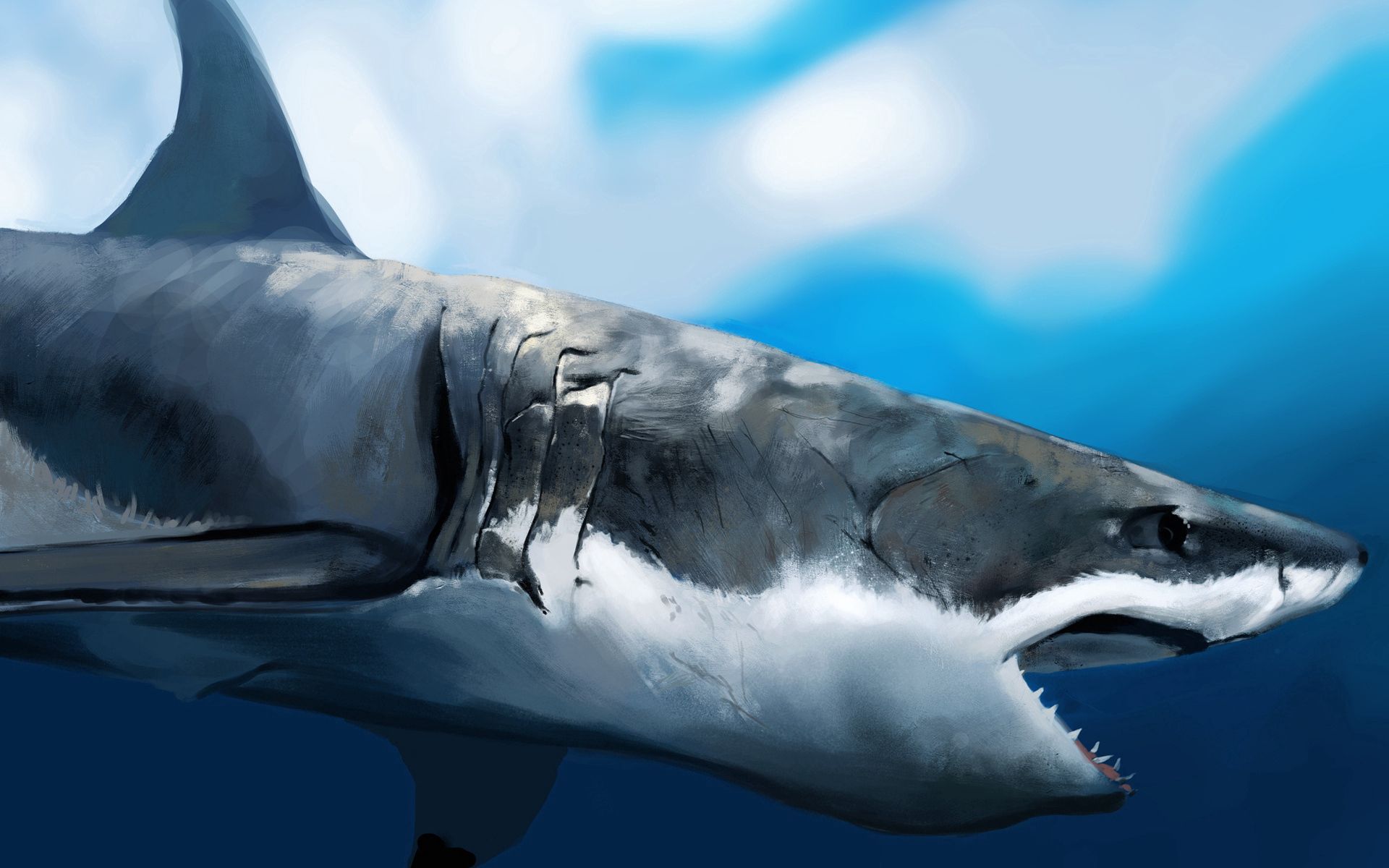 shark, under water, animals, art, to fall, mouth, profile, underwater, hunger 32K