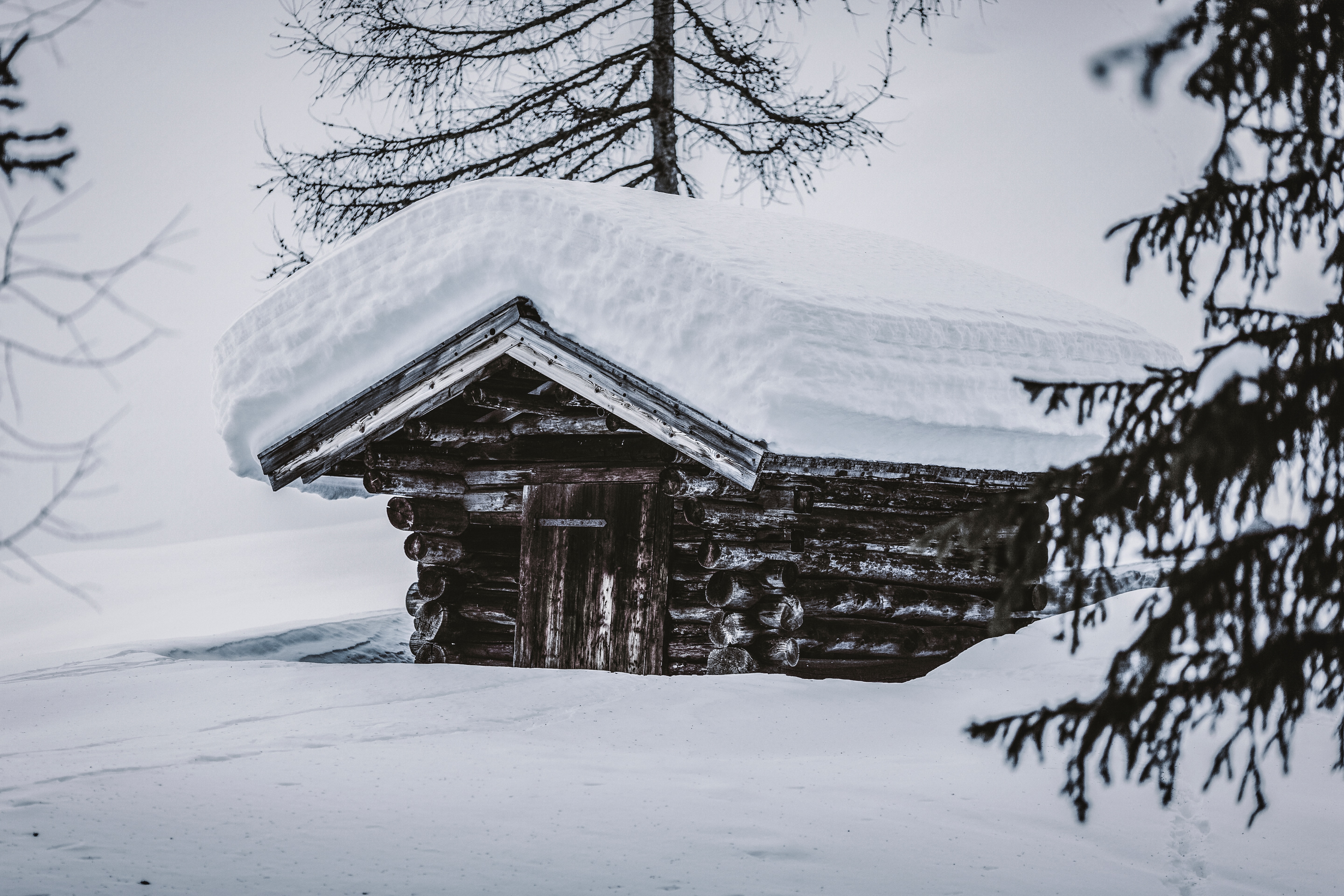 winter, nature, snow, wood, wooden, drifts, hut HD wallpaper