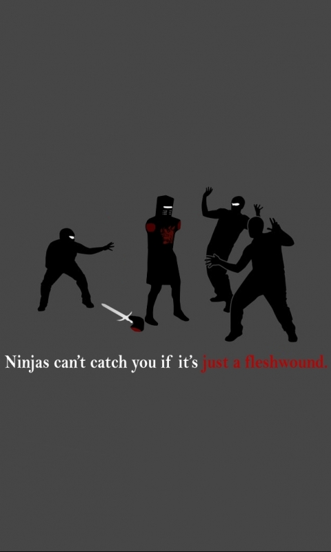 humor, ninjas HD wallpaper