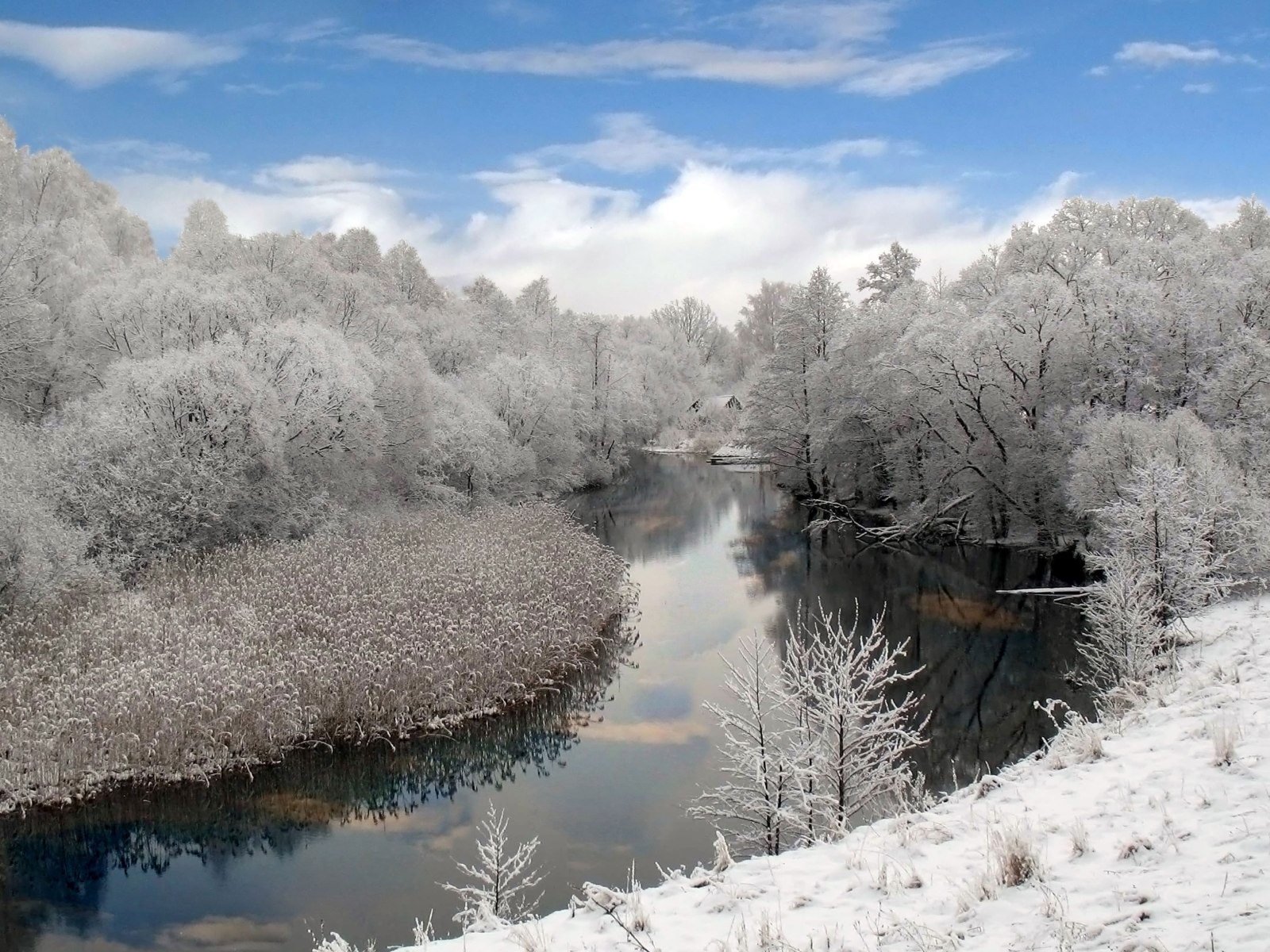 Скачати мобільні шпалери Річка, Дерева, Зима, Пейзаж безкоштовно.
