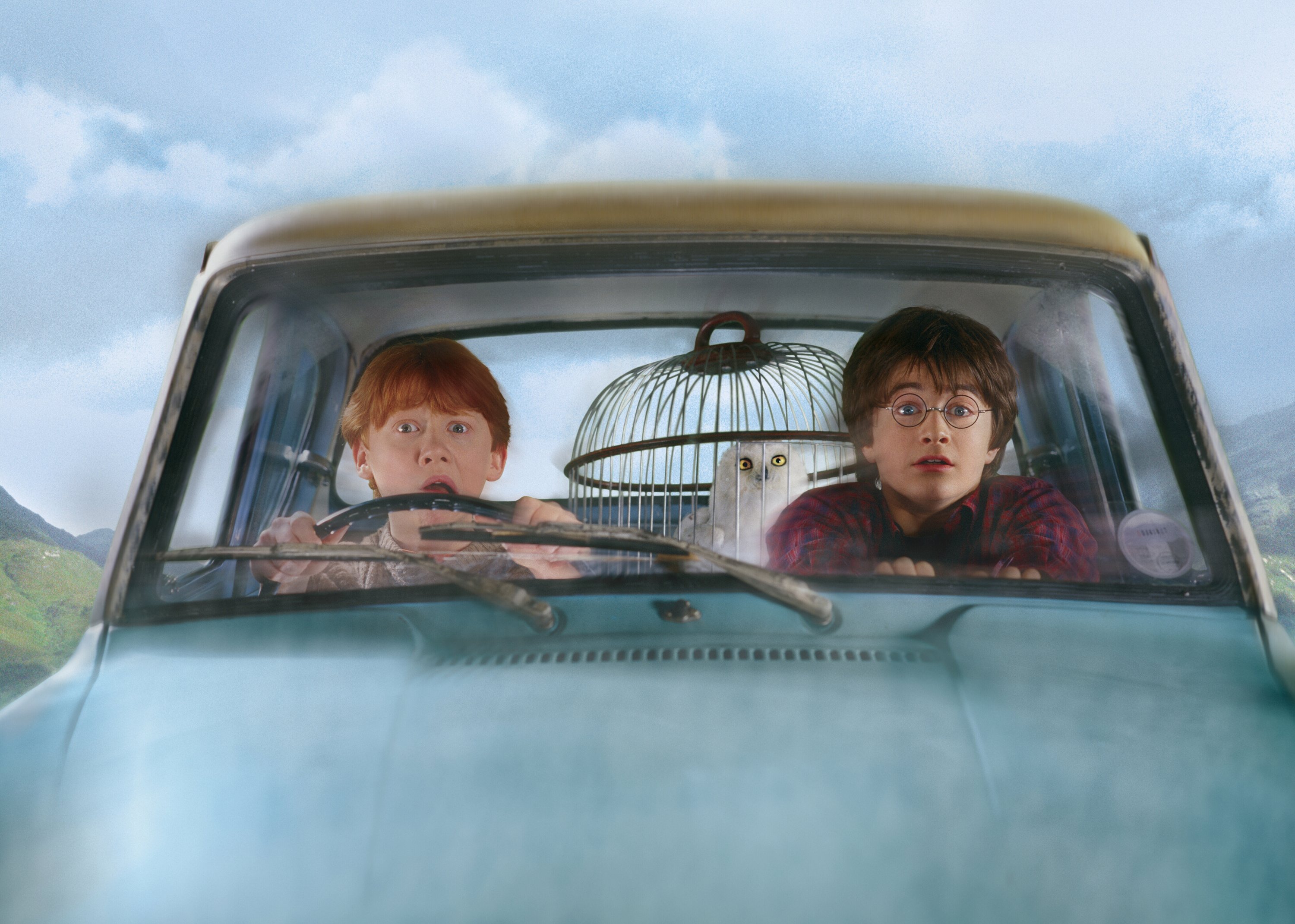 harry potter, movie, harry potter and the chamber of secrets, daniel radcliffe, ron weasley, rupert grint