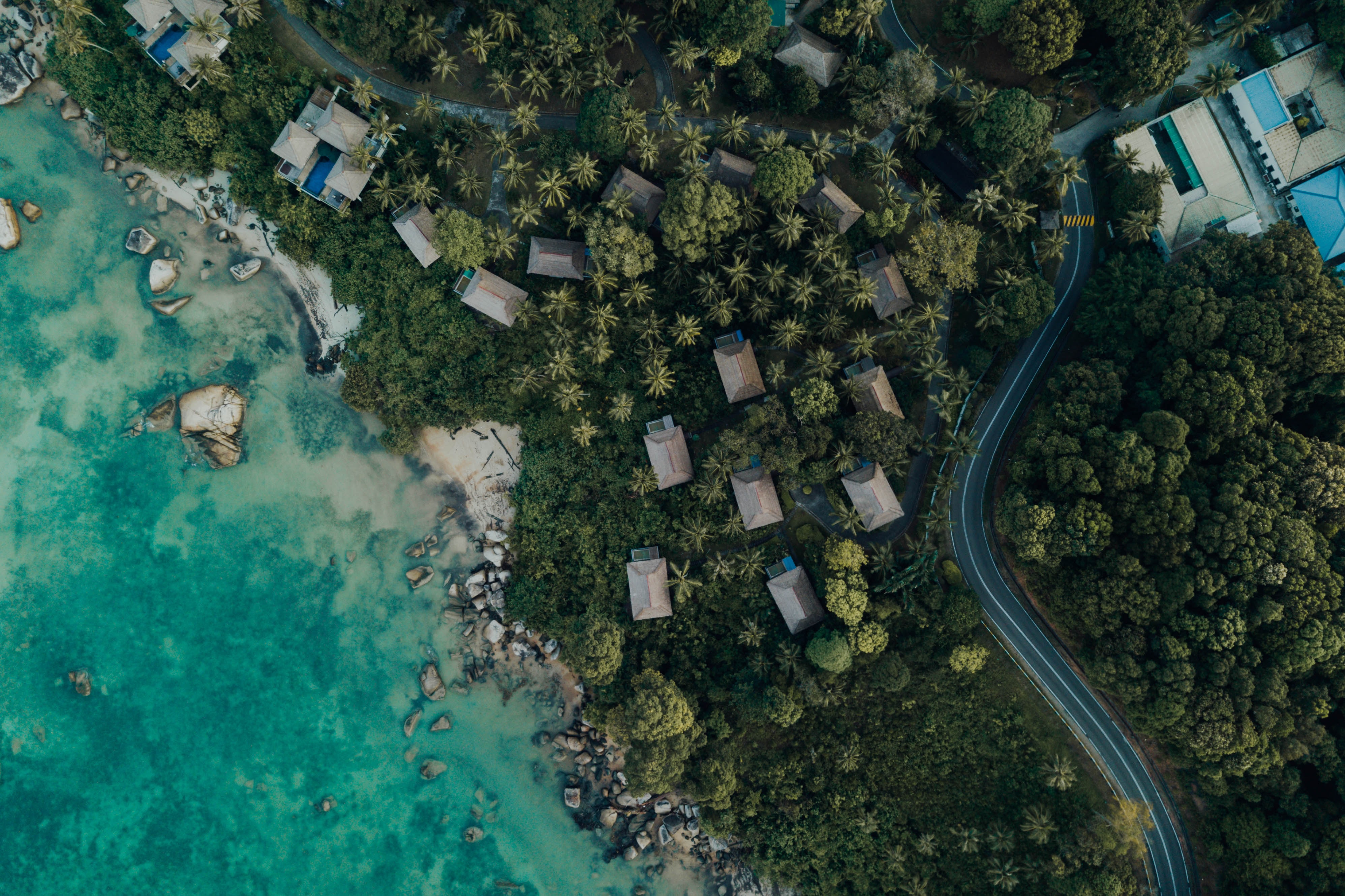 view from above, nature, trees, sea, building, shore, bank Full HD