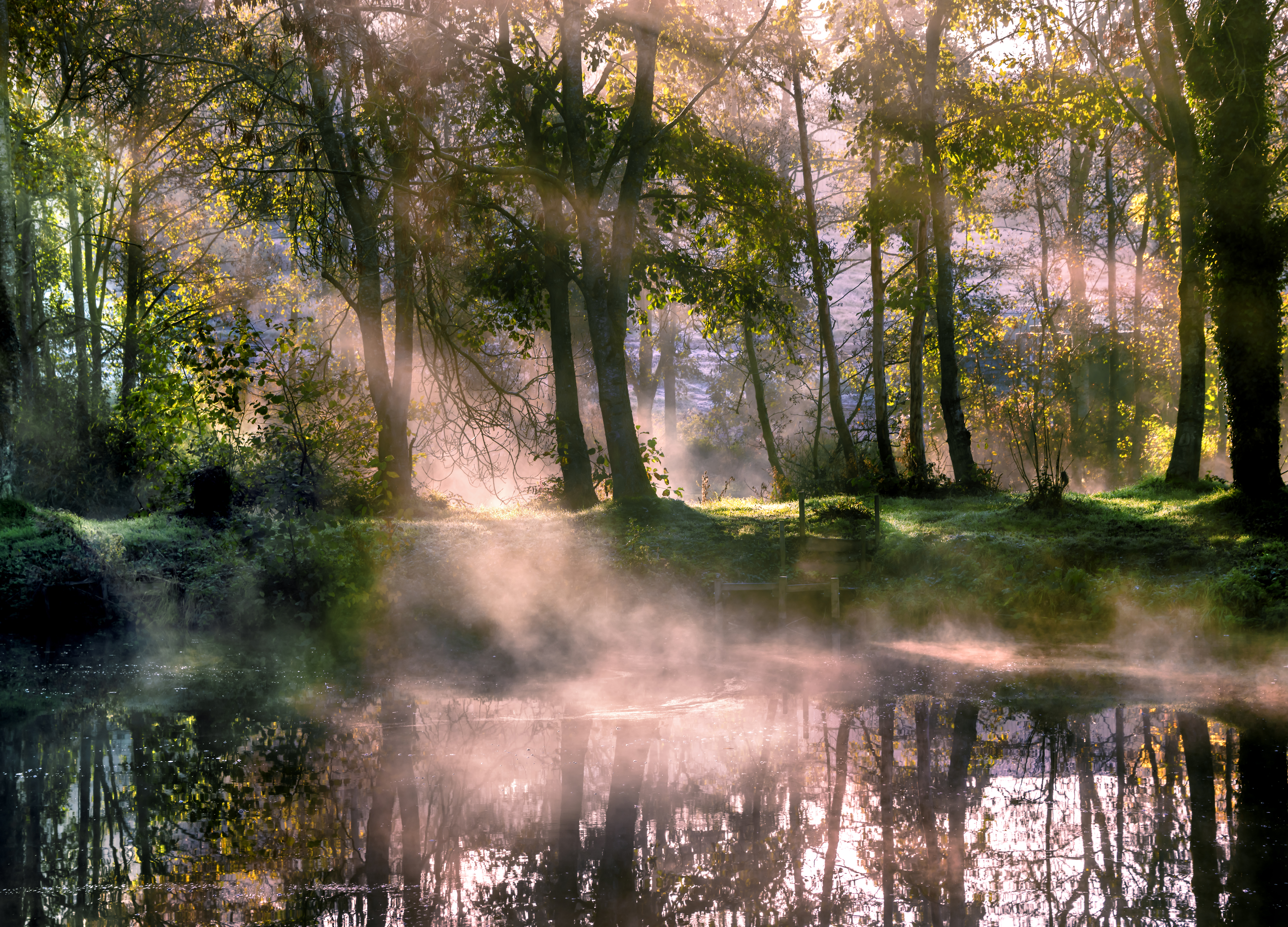Download mobile wallpaper Fog, Sunlight, Trees, Lake, Nature, Morning for free.
