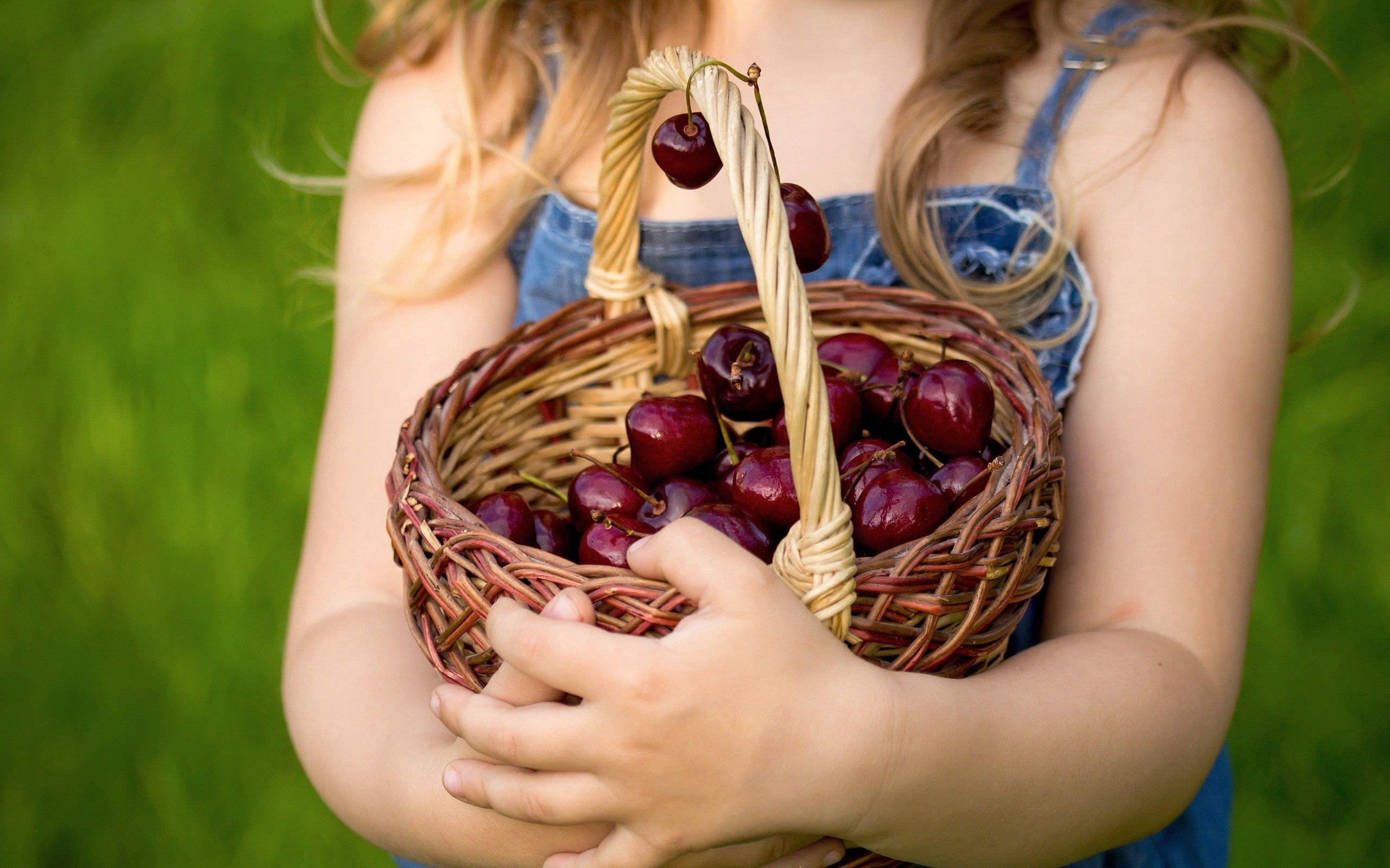 Download background sweet cherry, food, berries, hands, basket