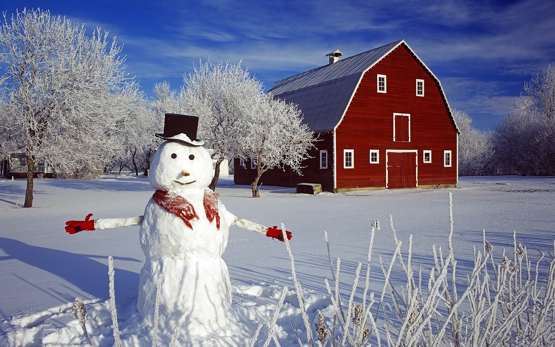 Download mobile wallpaper Winter, Snowman, Landscape for free.