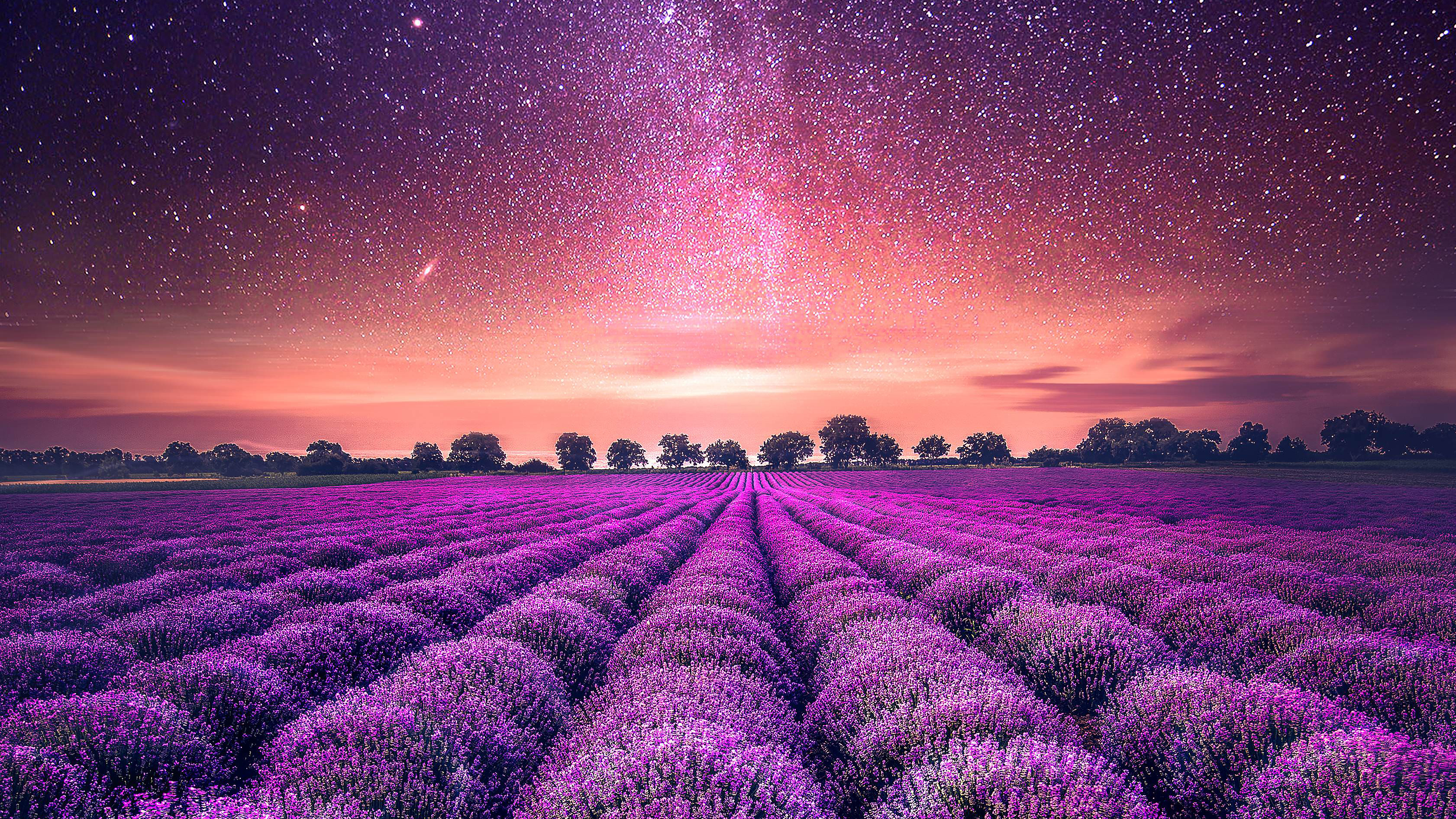 Музыка для фона природа. Лавандовое поле поселок Семигорский. Лавандовые поля в Провансе Франция. Сиреневые цветы. Фиолетовая природа.