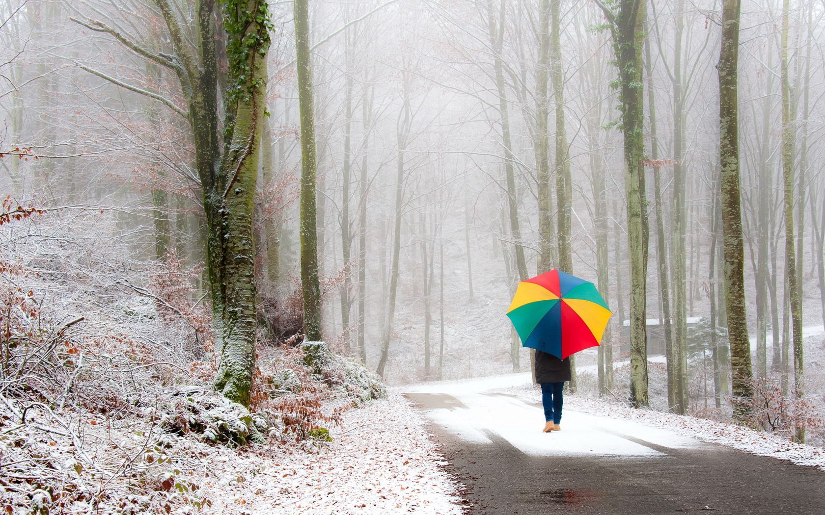 person, umbrella, nature, snow, road, park, fog, stroll, human phone background