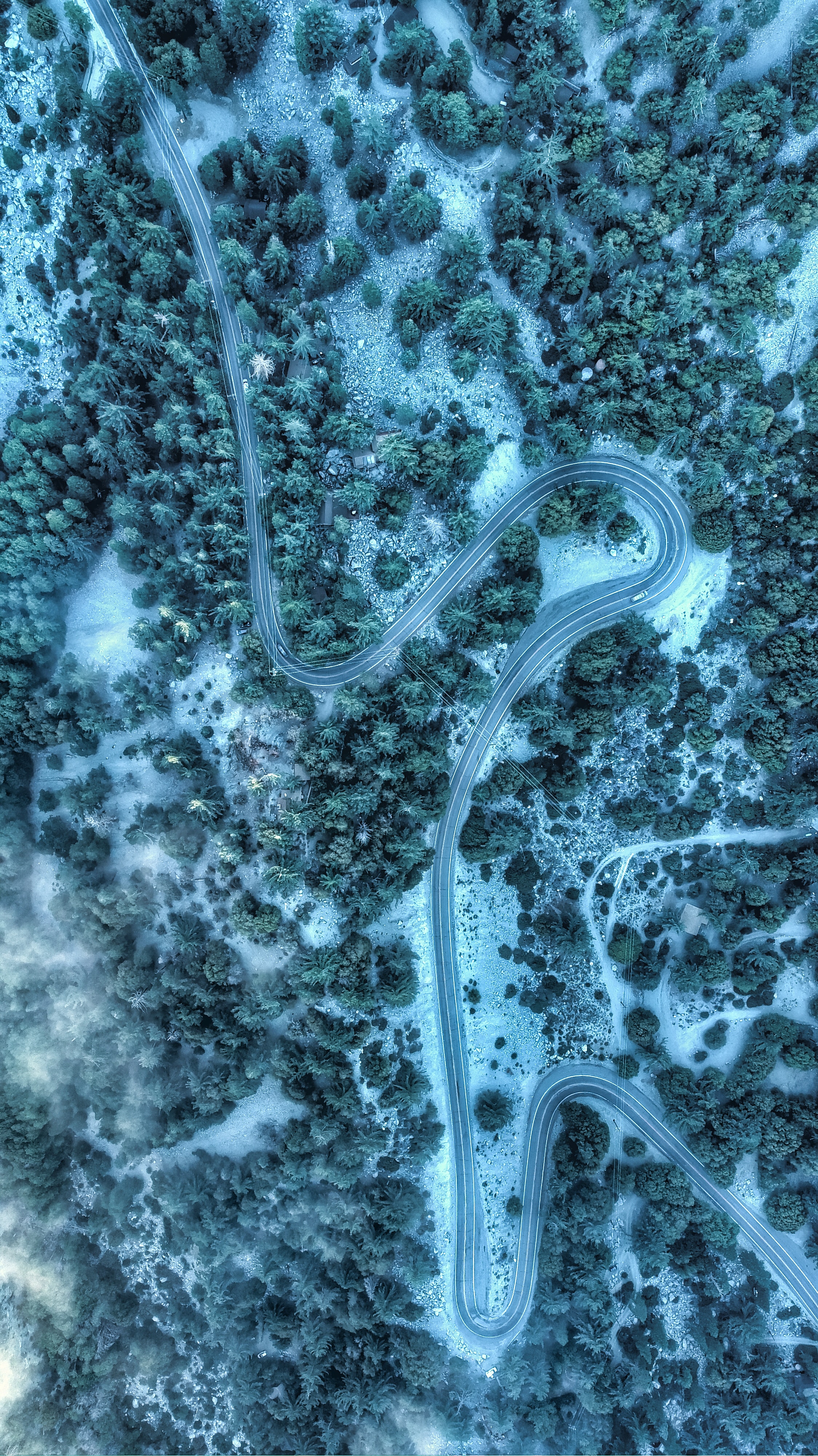 Download mobile wallpaper Road, View From Above, Top, Tops, Trees, Winding, Sinuous, Nature for free.