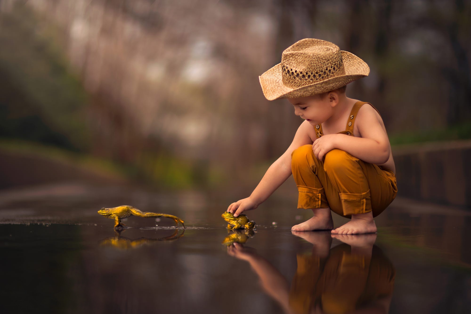 photography, child, amphibian, depth of field, frog, hat, little boy, reflection