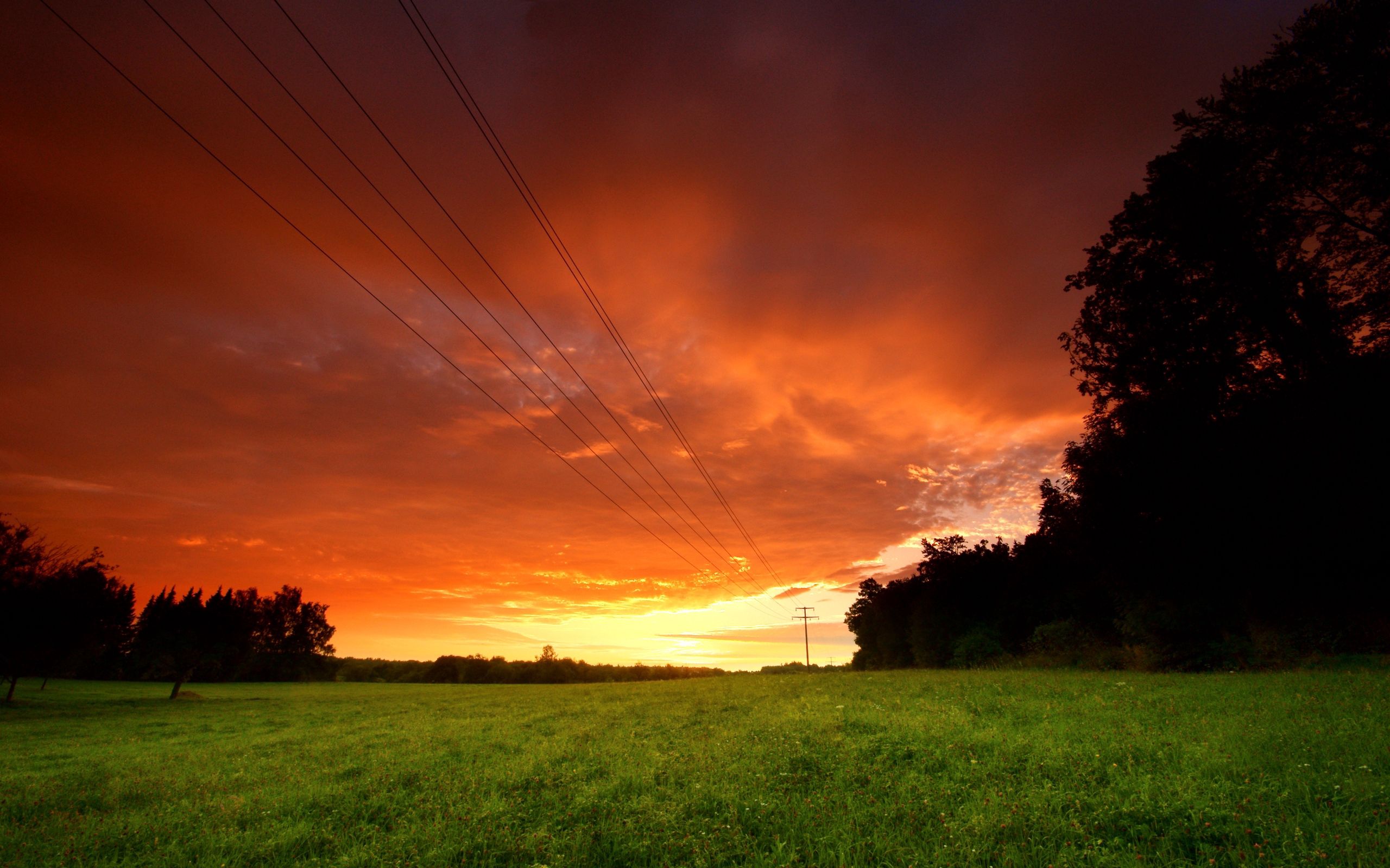 wires, wire, nature, sunset, sky, greens, field, evening