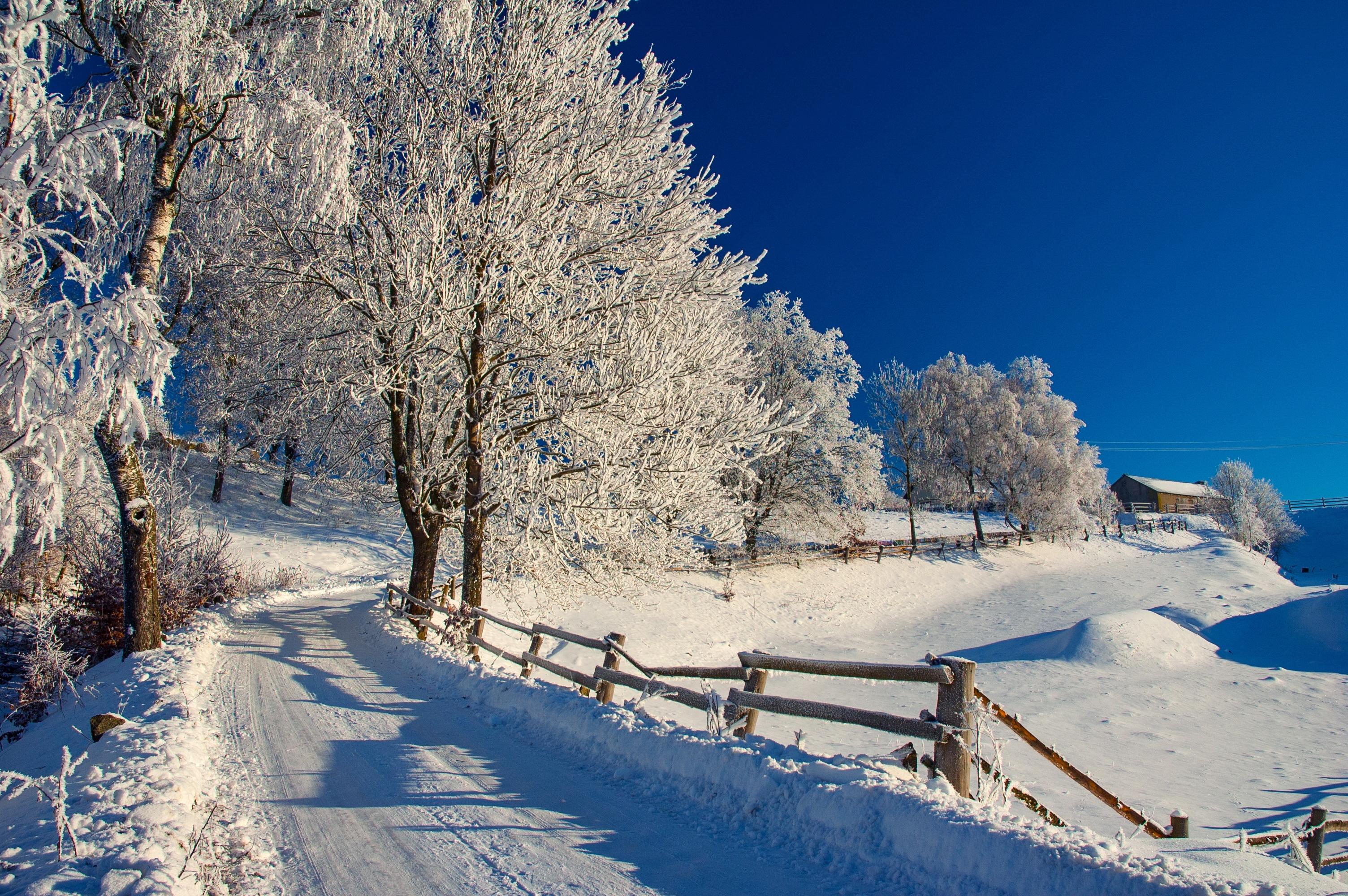 Скачать картинку Зима, Снег, Дорога, Дерево, Домик, Ограда, Фотографии в телефон бесплатно.
