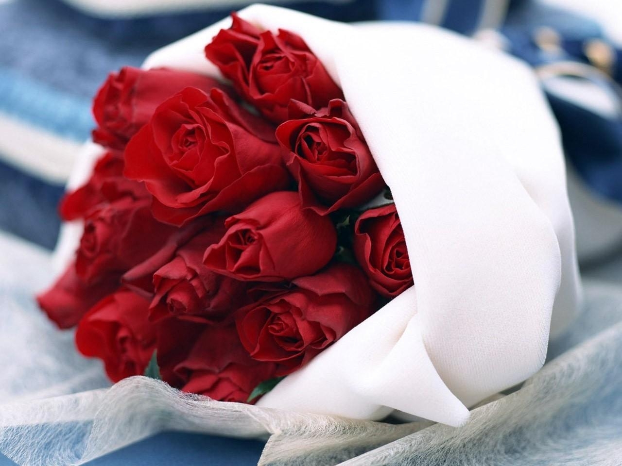roses, bouquets, plants, flowers, red HD wallpaper