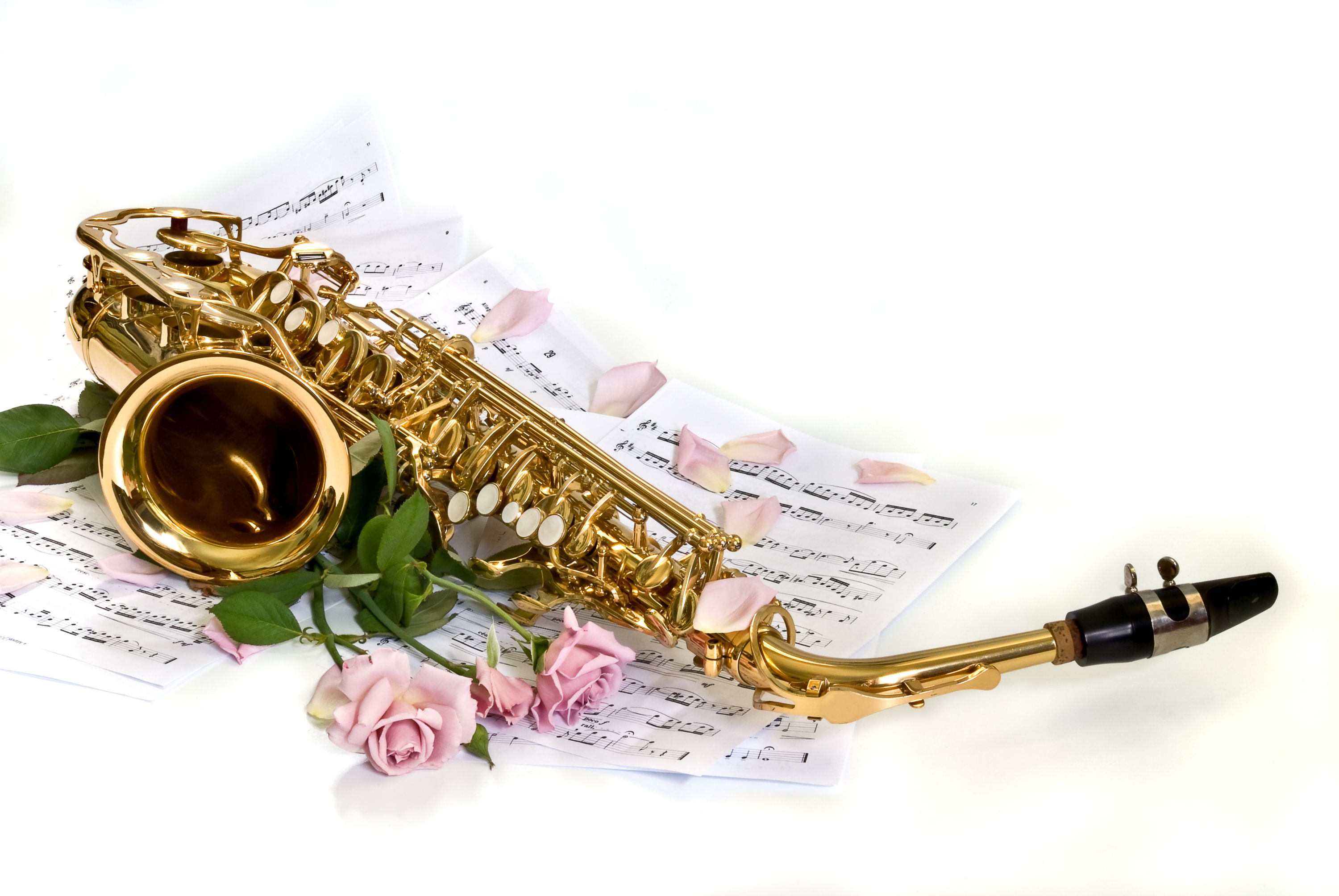 saxophone, music, petal, rose, sheet music for android