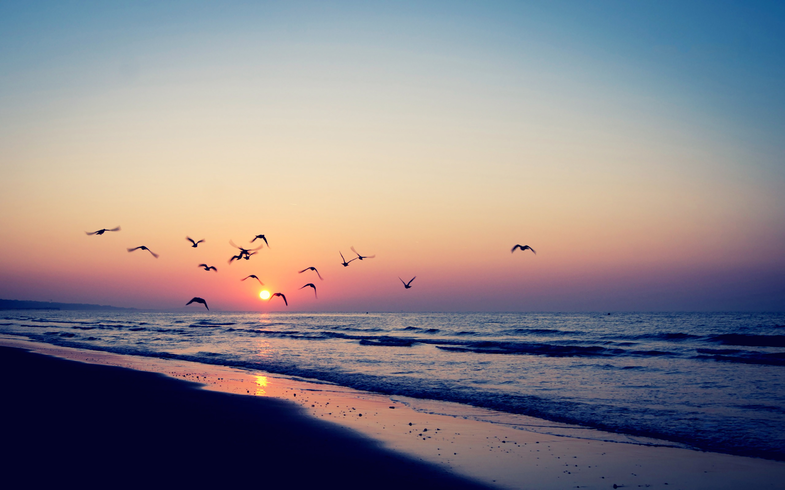 landscape, sunset, sea, seagulls, waves Image for desktop