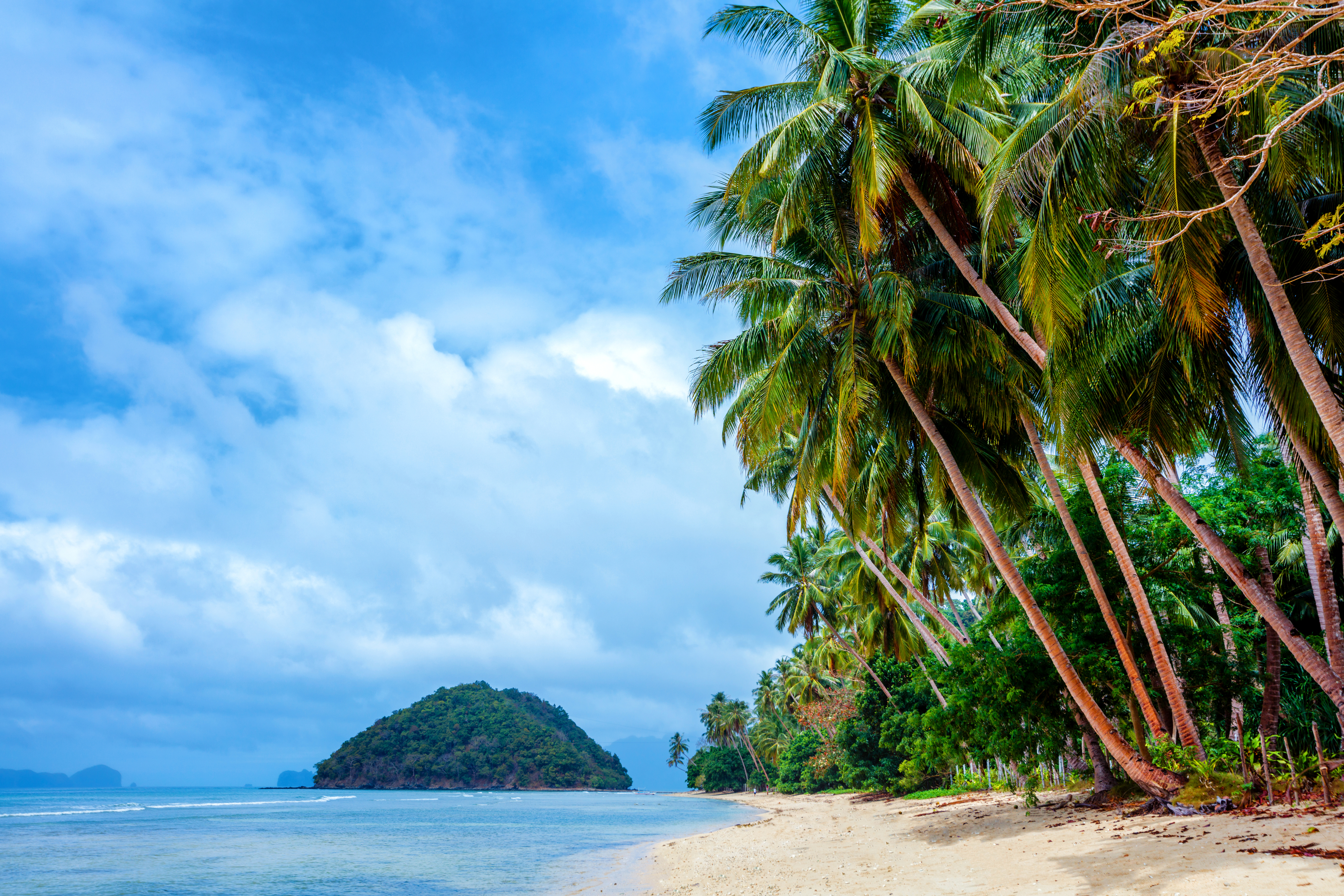 philippines, sea, beach, earth, ocean, palm tree, tropical phone background