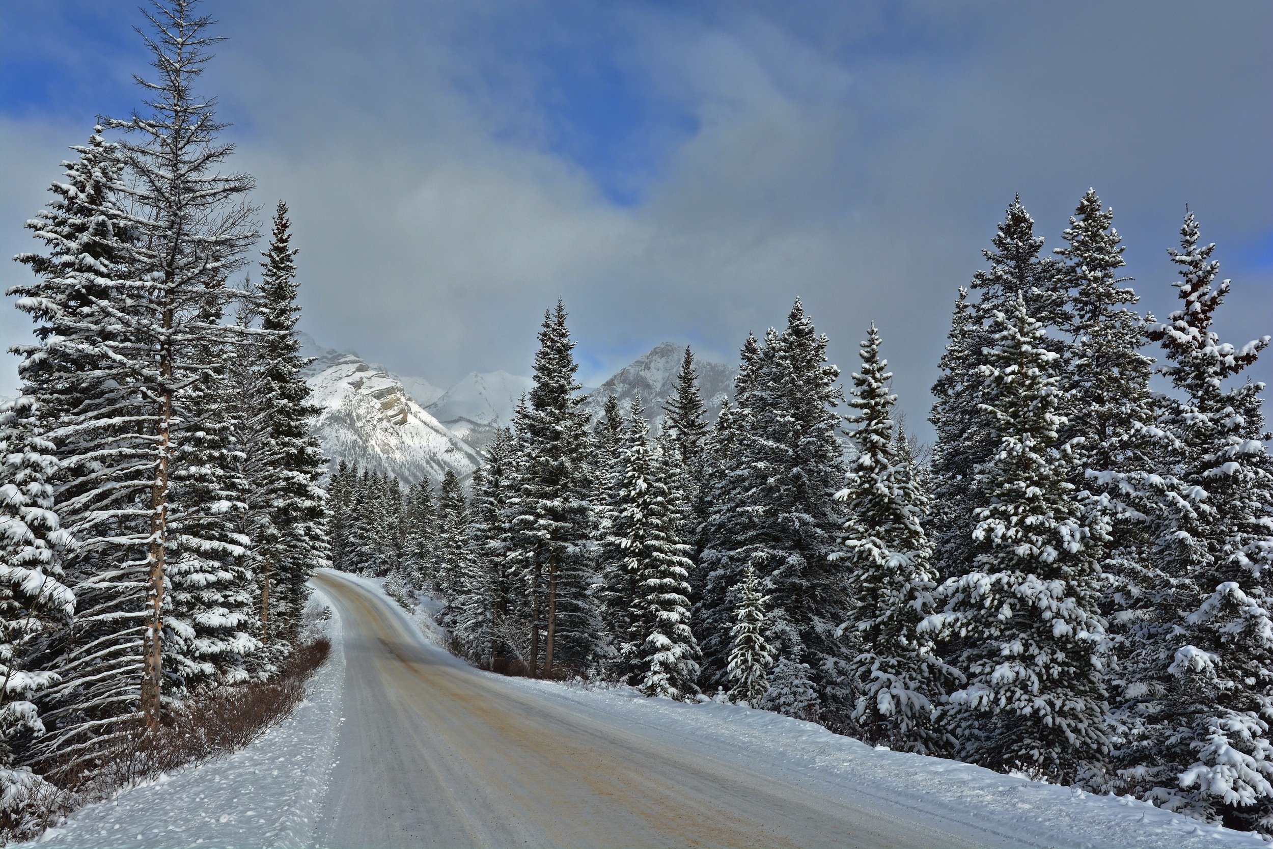 man made, road, banff national park, canada, landscape, mountain, pine, snow, tree, winter iphone wallpaper